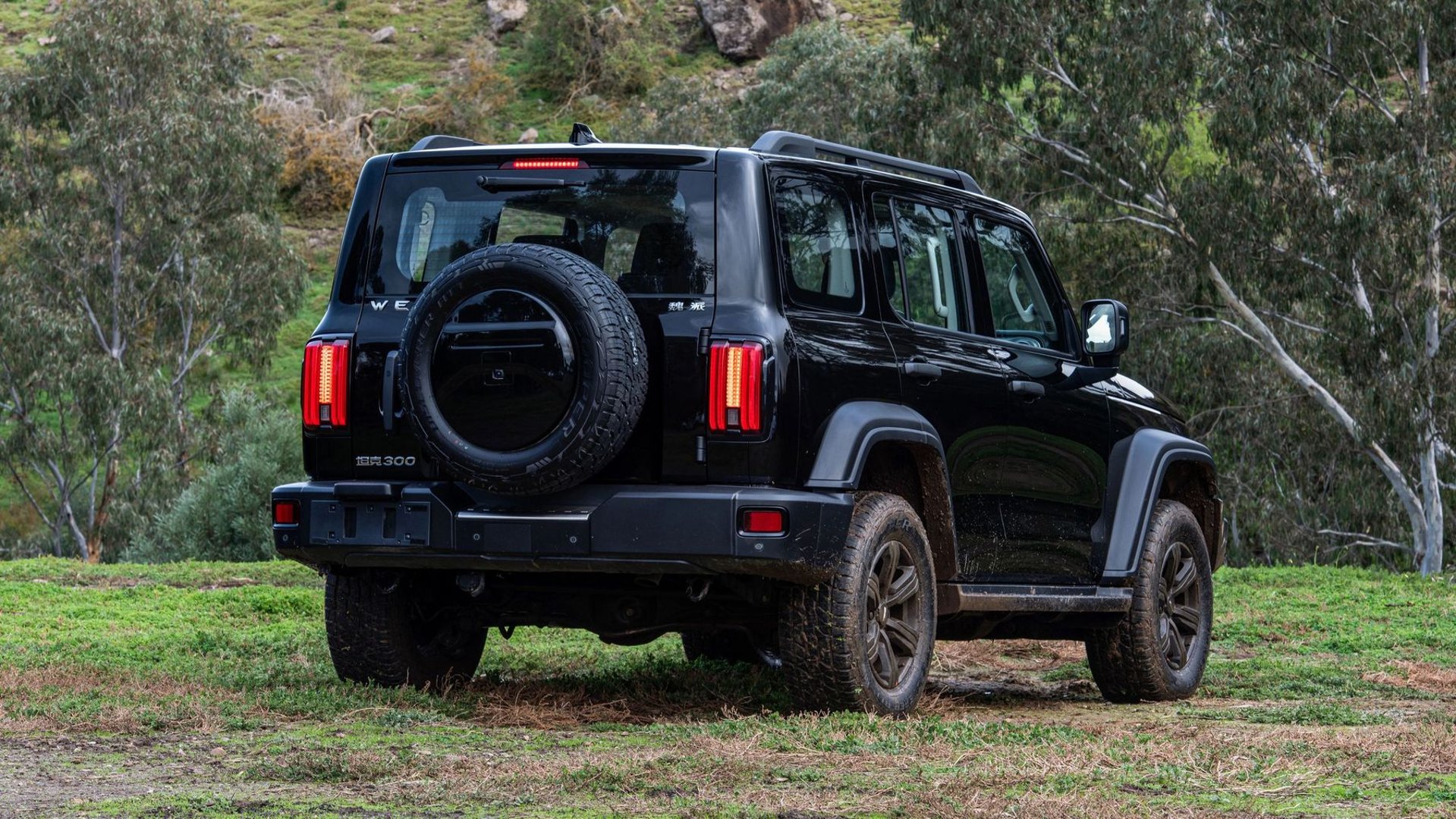 tank_300_1_generation__SUV_5-doors__2.jpg