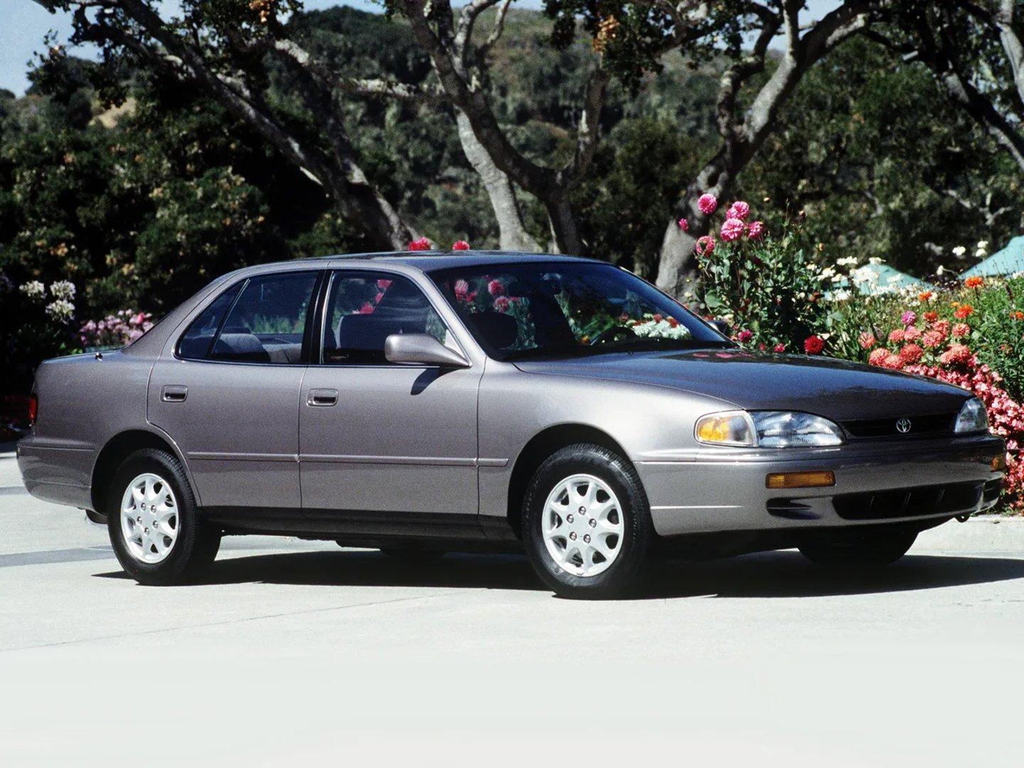 Toyota_Camry_4_generation__Sedan__1.jpg