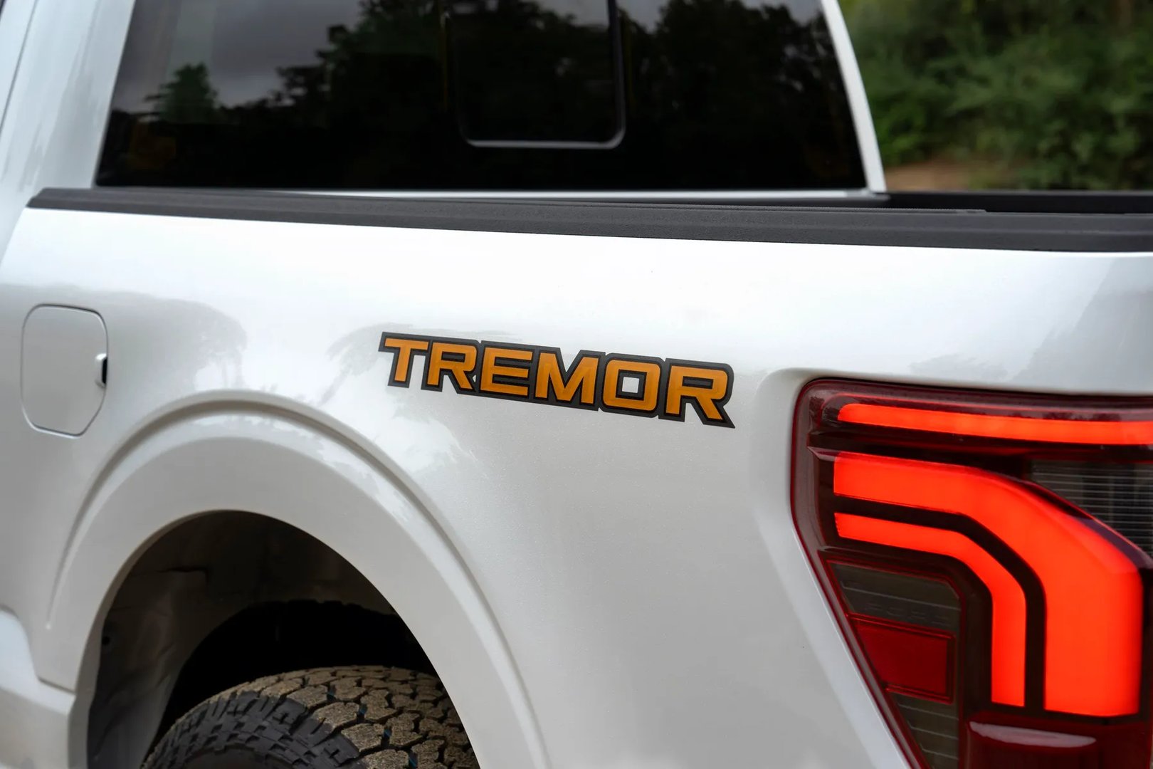 Ford_F-150_14_generation_restyling_1__Pickup_double-cab__9.jpg