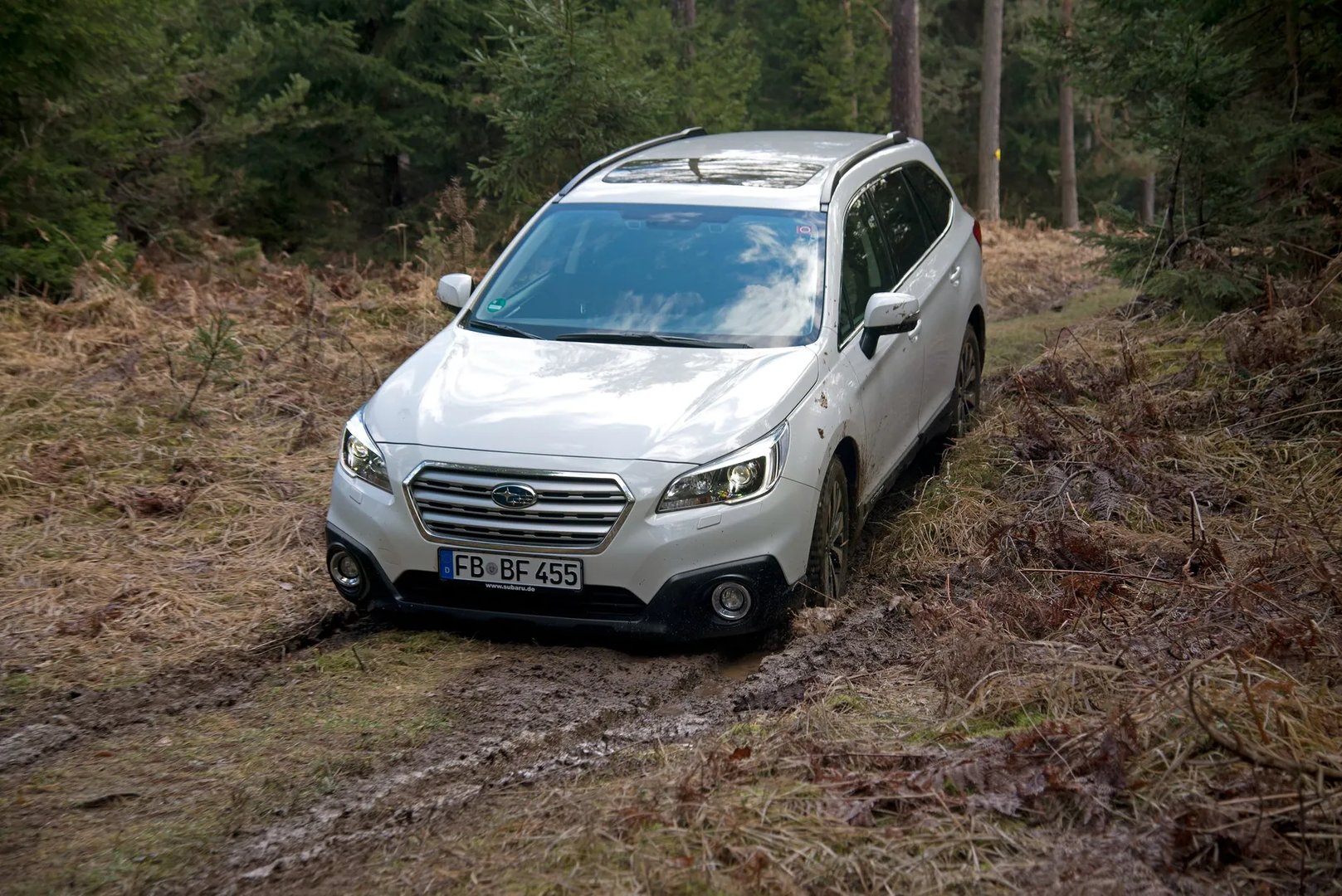 Subaru_Outback_5_generation__Estate_5-door__10.jpg