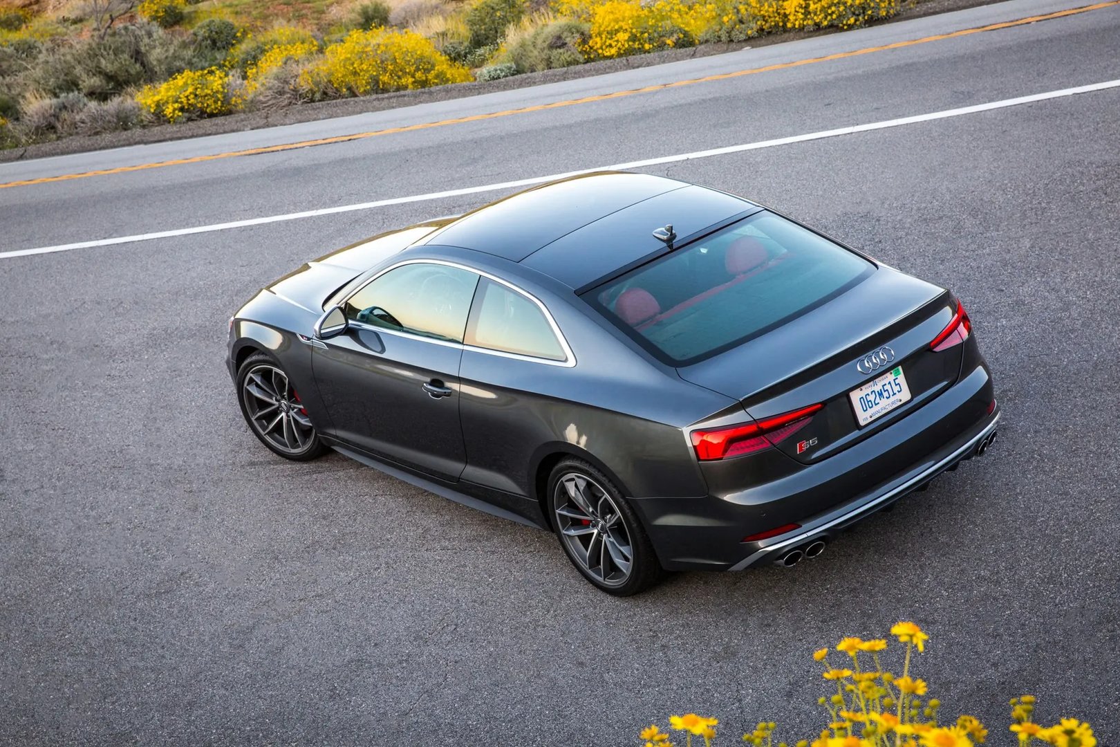 Audi_S5_2_generation__Coupe__8.jpg