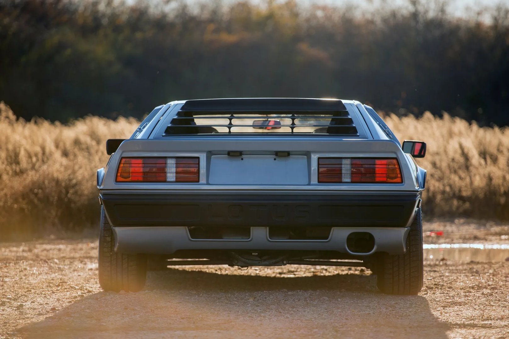 Lotus_Esprit_3_generation__Coupe__5.jpg