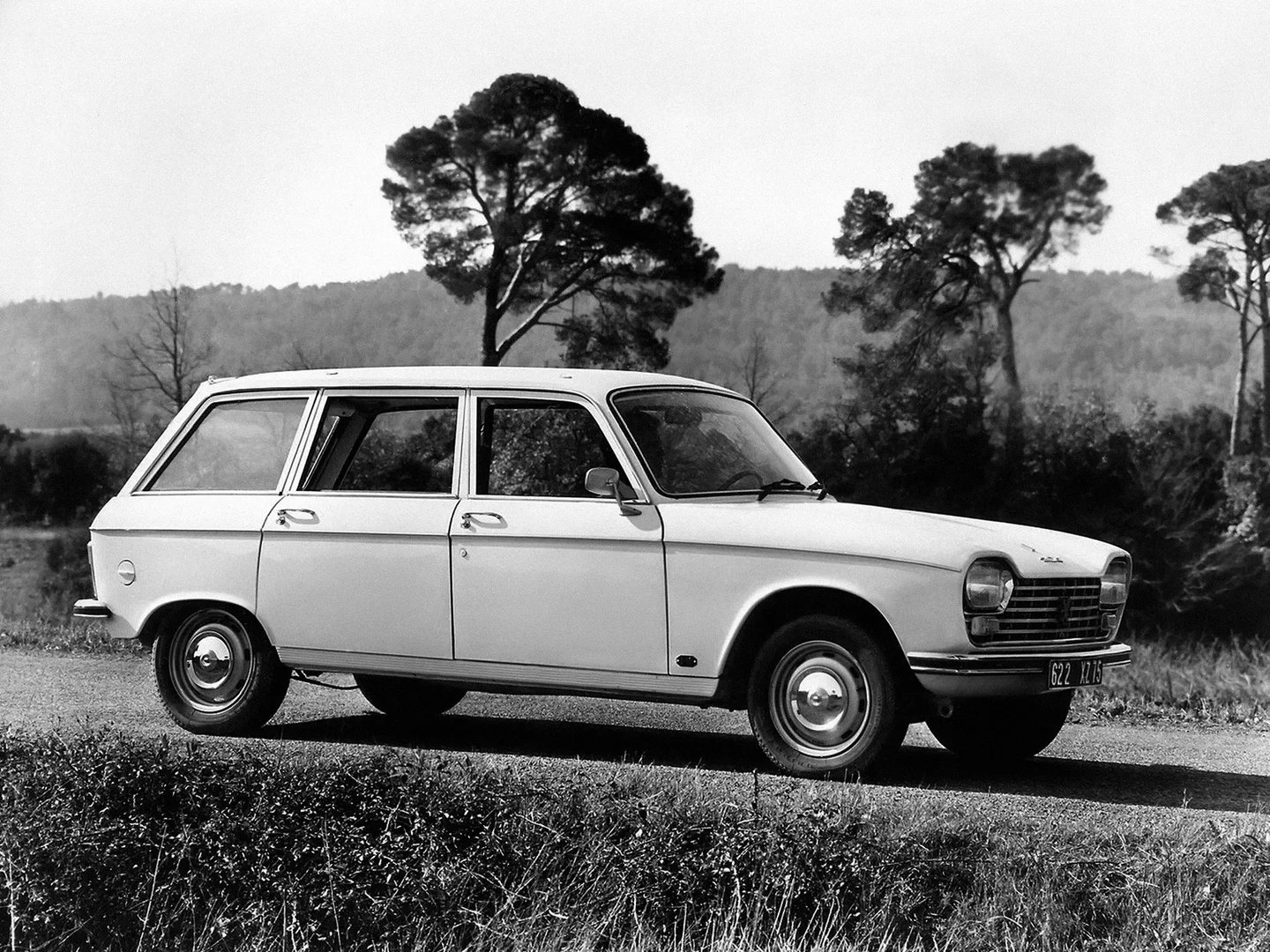 Peugeot_204_1_generation__Estate_5-door__1.jpg