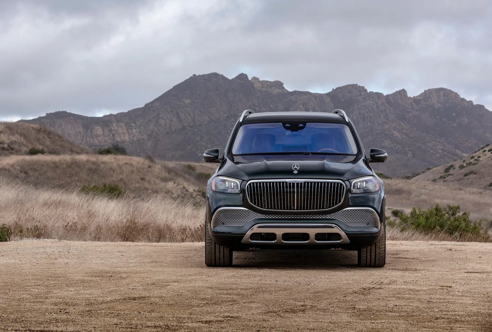 Maybach_GLS_1_generation__SUV_5-doors__13.jpg