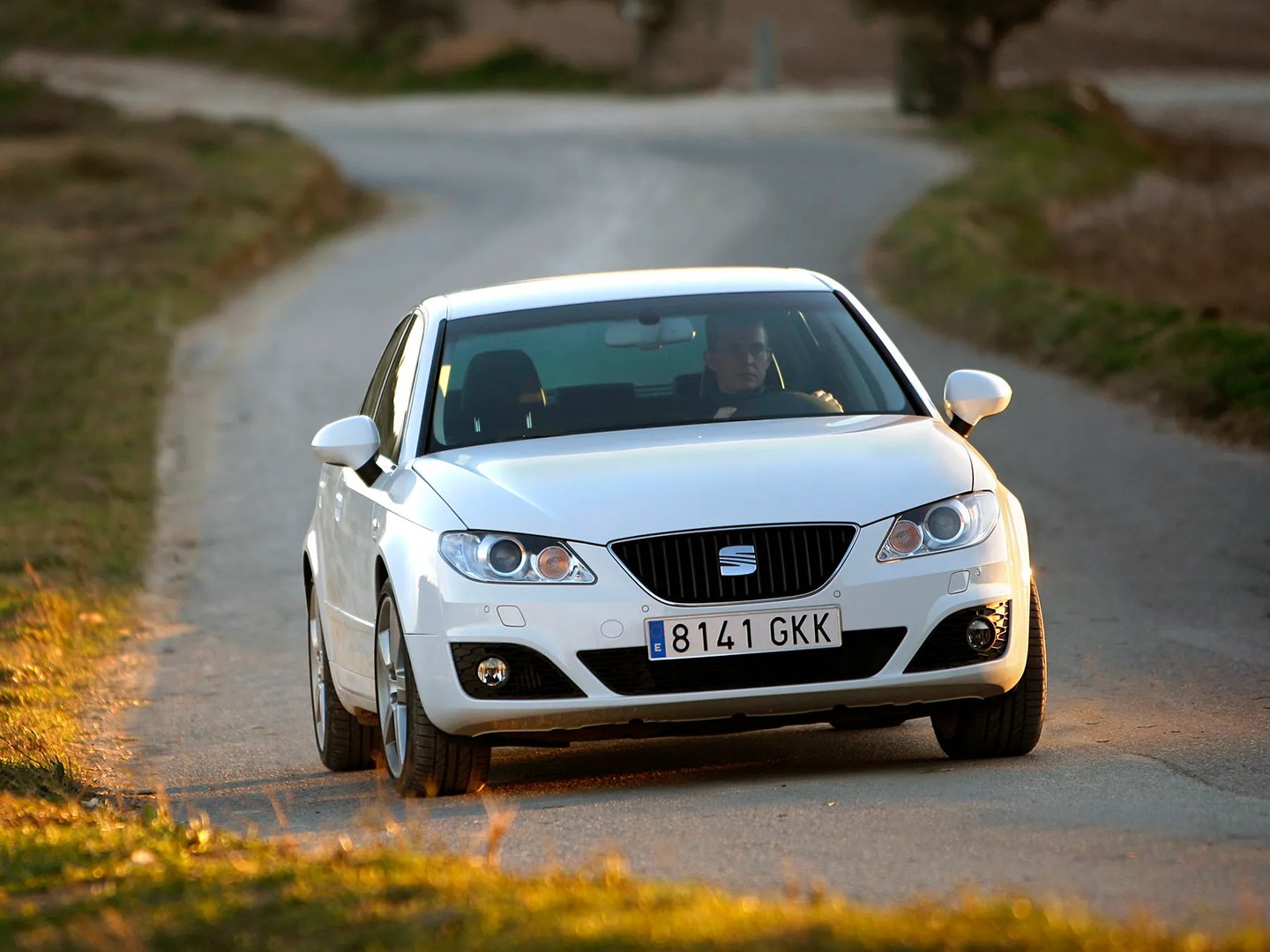 SEAT_Exeo_1_generation__Sedan__11.jpg