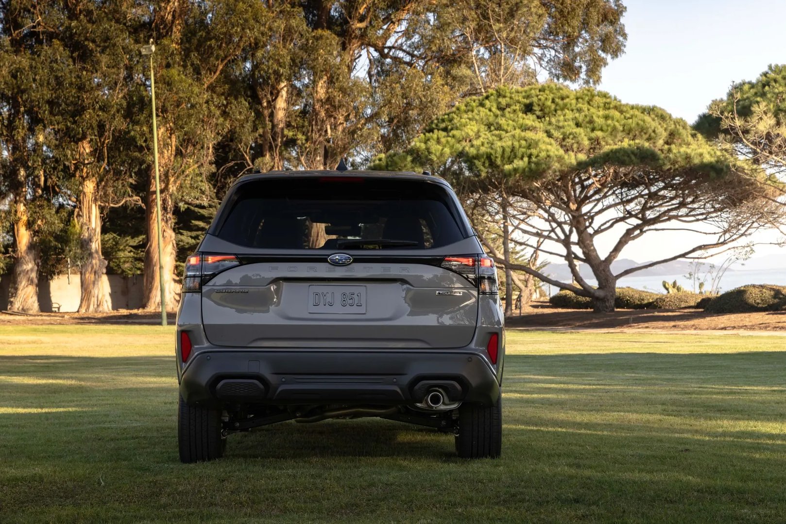 Subaru_Forester_6_generation__SUV_5-doors__7.jpg