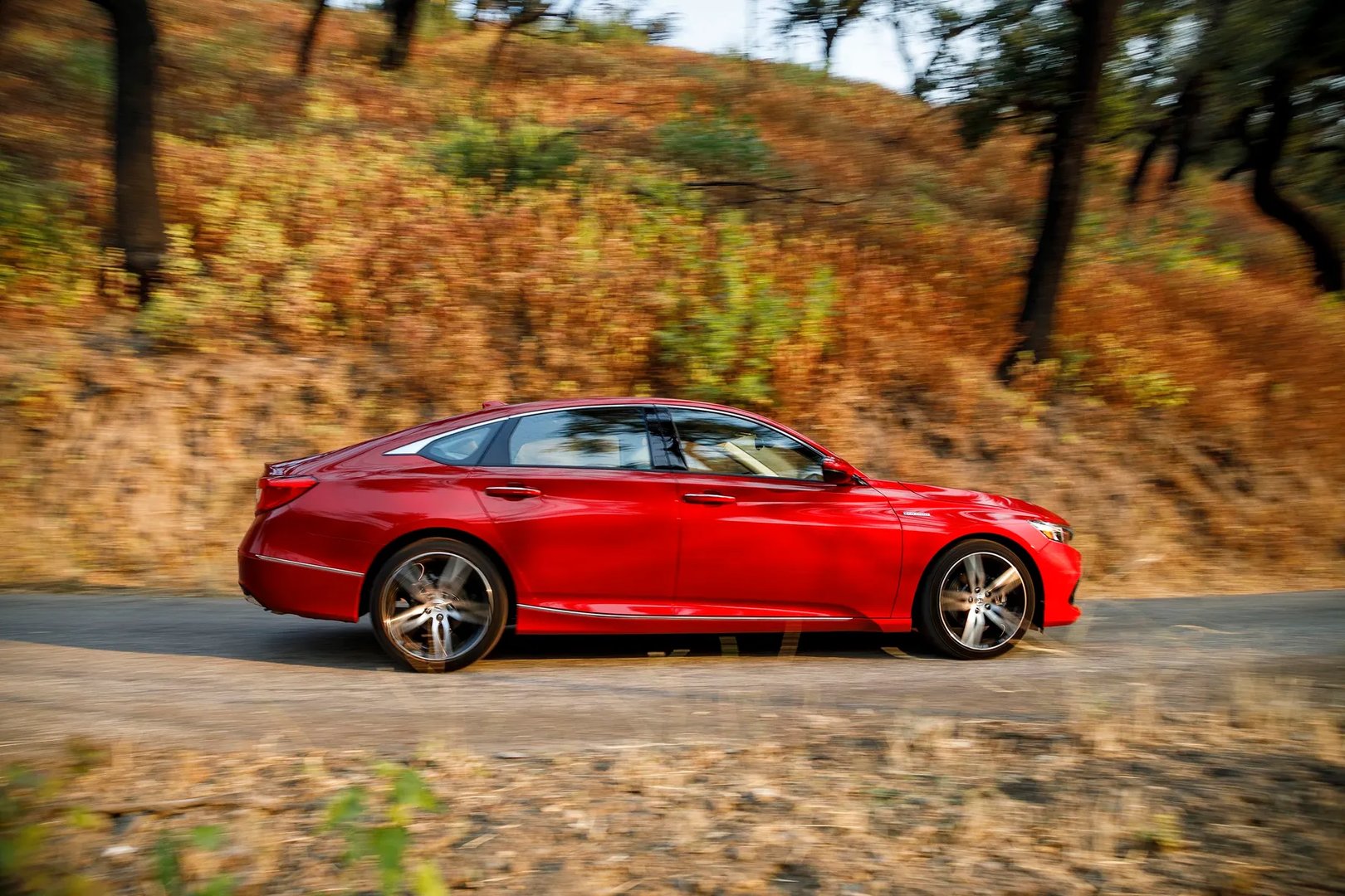 Honda_Accord_(USA)_10_generation_restyling__Sedan__4.jpg