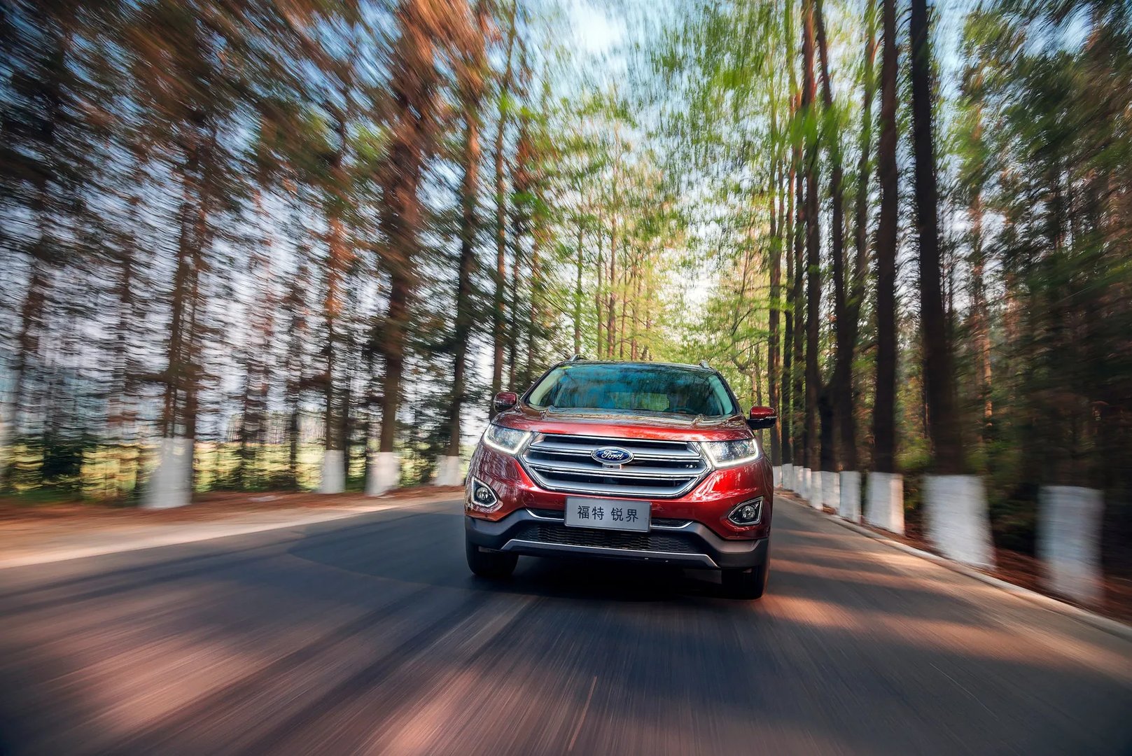 Ford_Edge_2_generation__SUV_Long__10.jpg