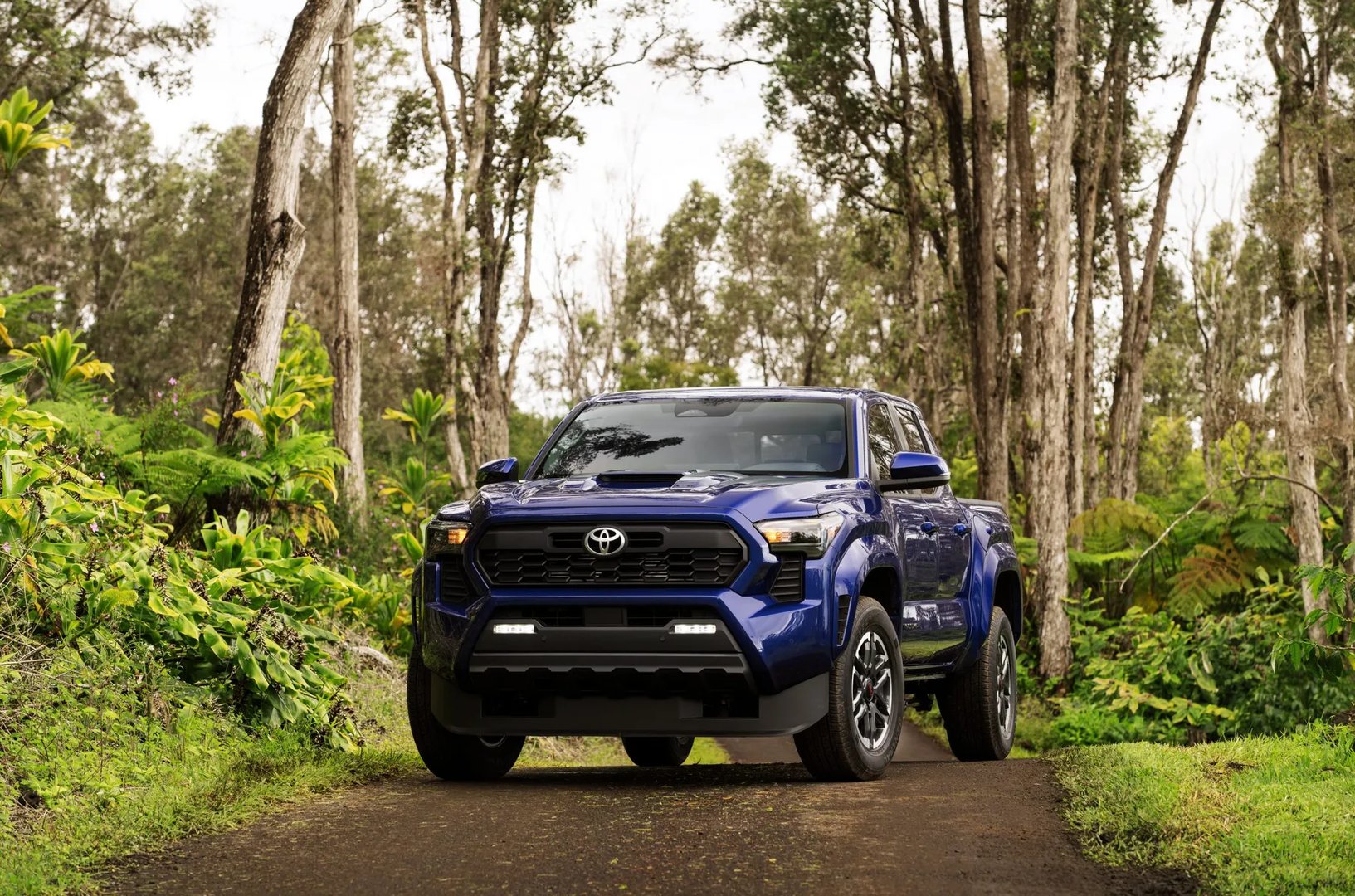 Toyota_Tacoma_4_generation__Pickup_double-cab__7.jpg