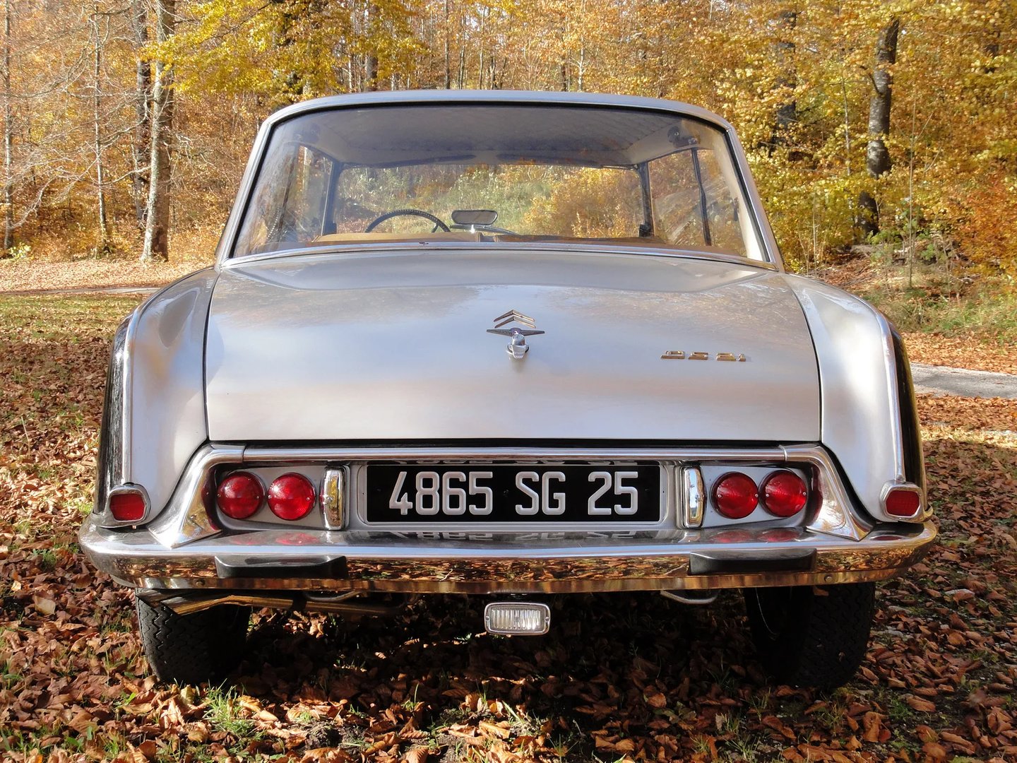 Citroen_DS_1_generation_restyling_1__Coupe__8.jpg