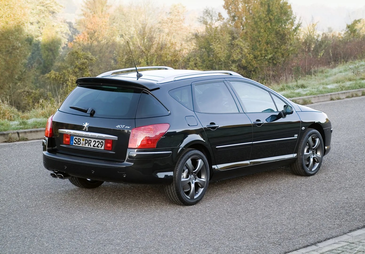 Peugeot_407_1_generation__Estate_5-door__2.jpg