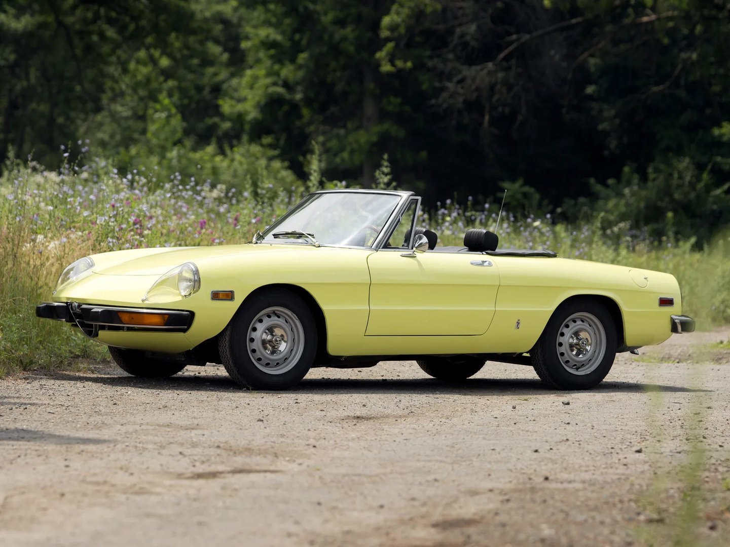 Alfa Romeo_Spider_1_generation__Cabrio__6.jpg