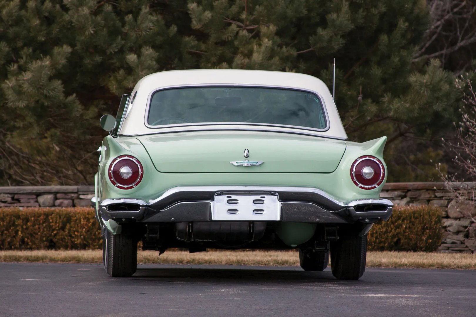 Ford_Thunderbird_1_generation__Coupe__4.jpg
