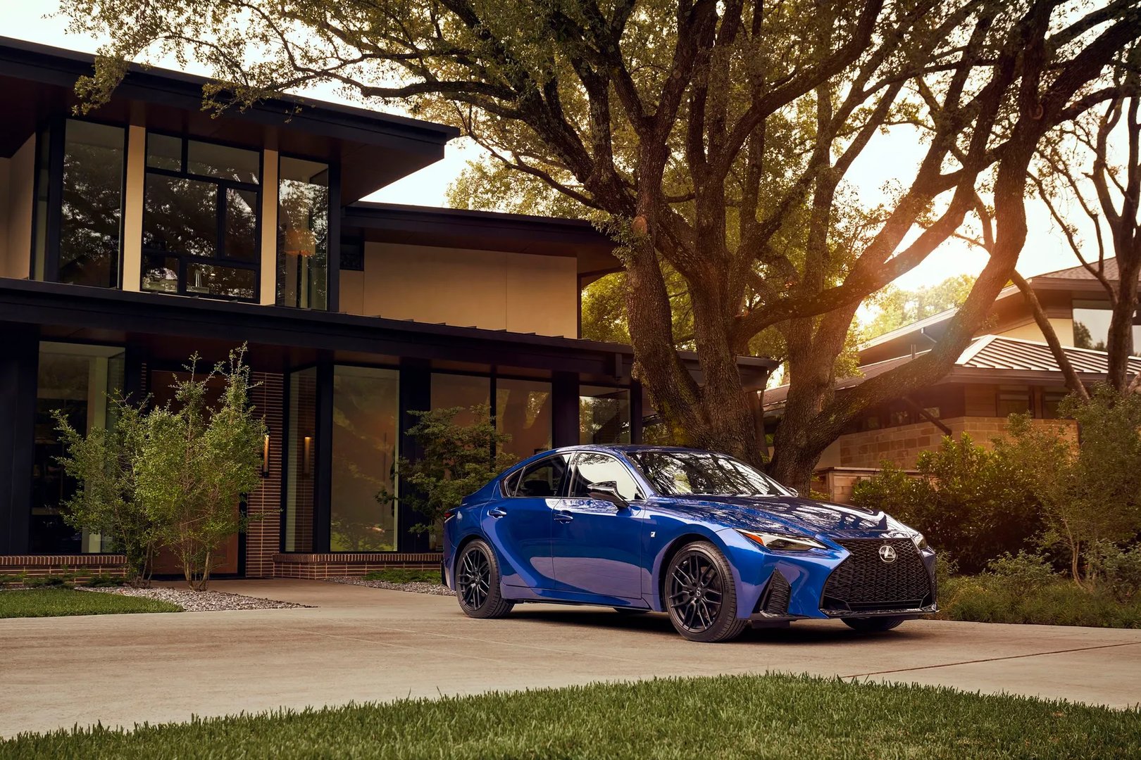 Lexus_IS_4_generation__Sedan__2.jpg