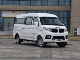 X30LEV