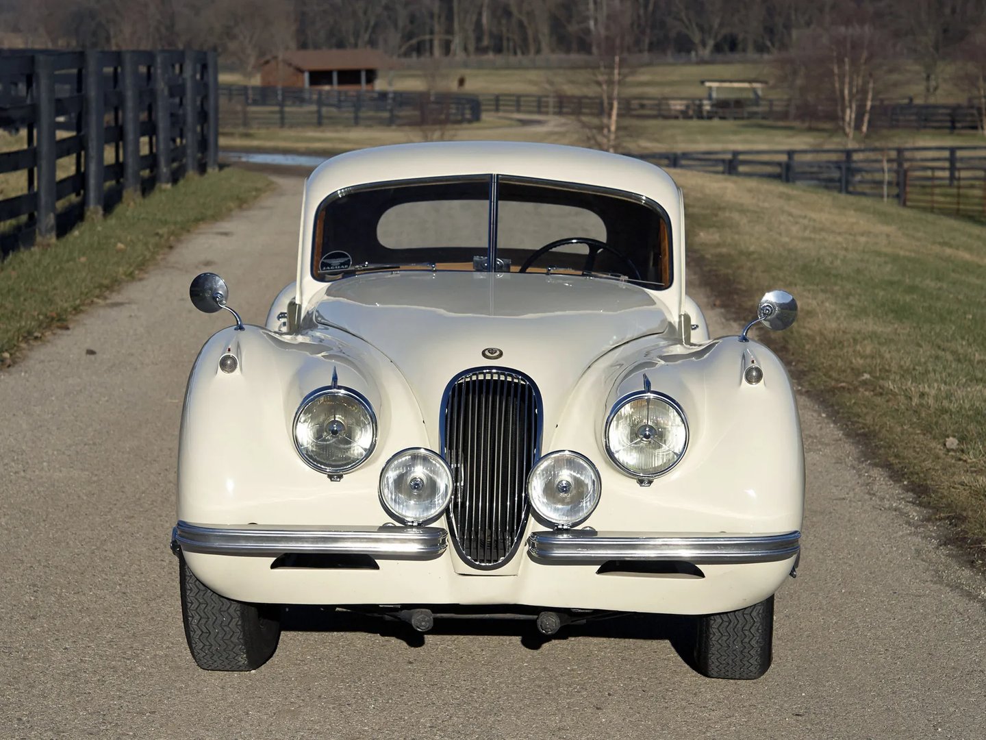 Jaguar_XK_Raritet_1_generation__Coupe__3.jpg