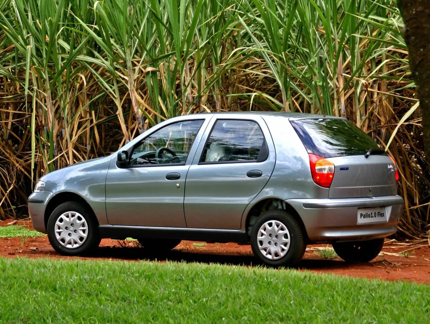 Fiat_Palio_1_generation_restyling__Mini_5-doors__1.jpg