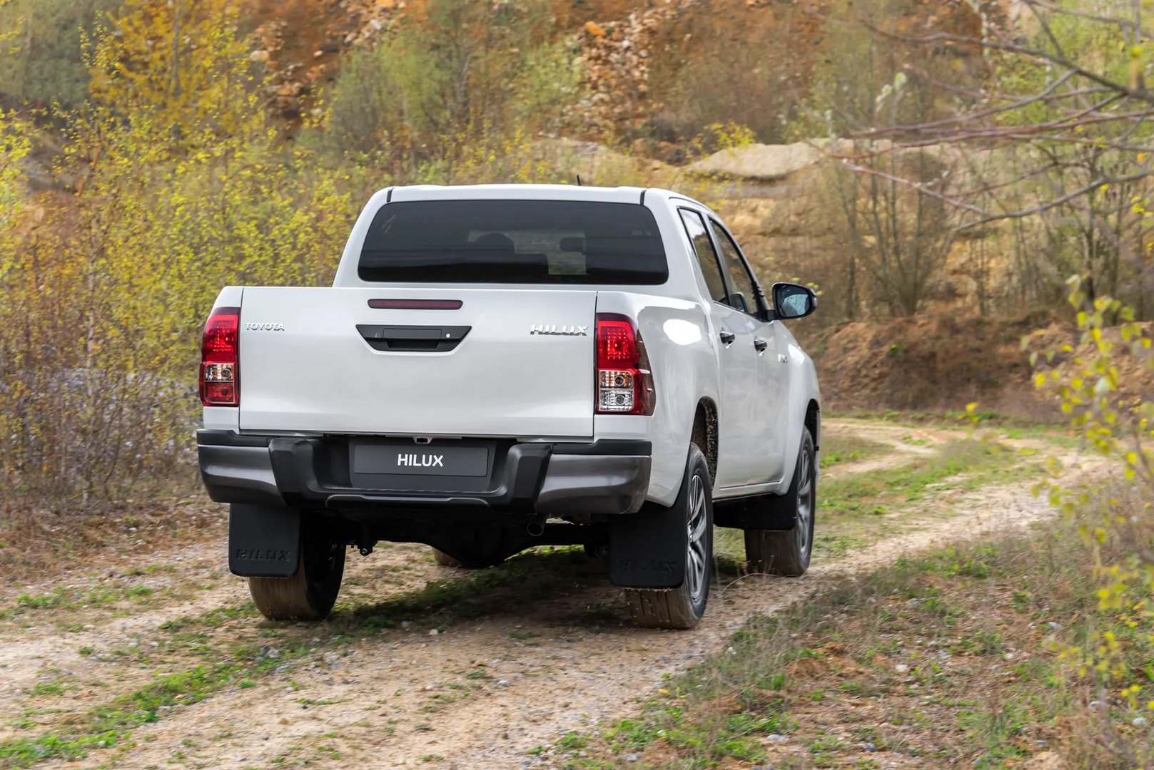 Toyota_Hilux_8_generation__Pickup_double-cab__12.jpg