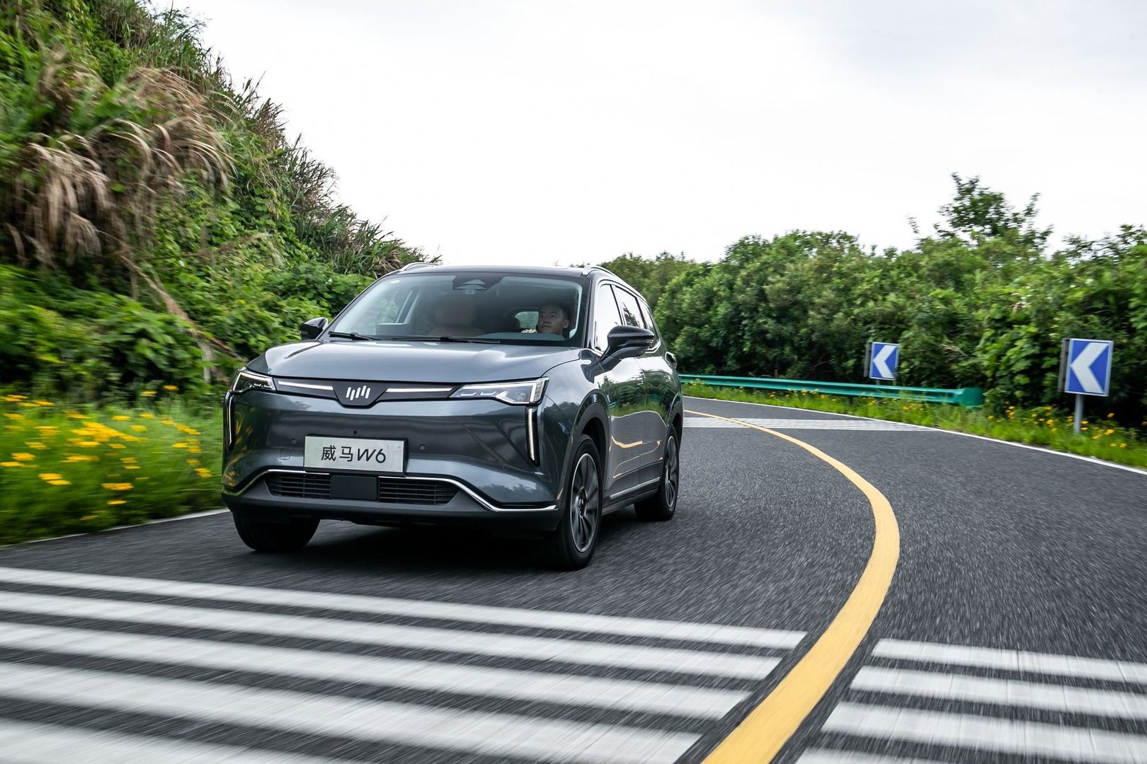 WM Motors Weltmeister W6 1 generation