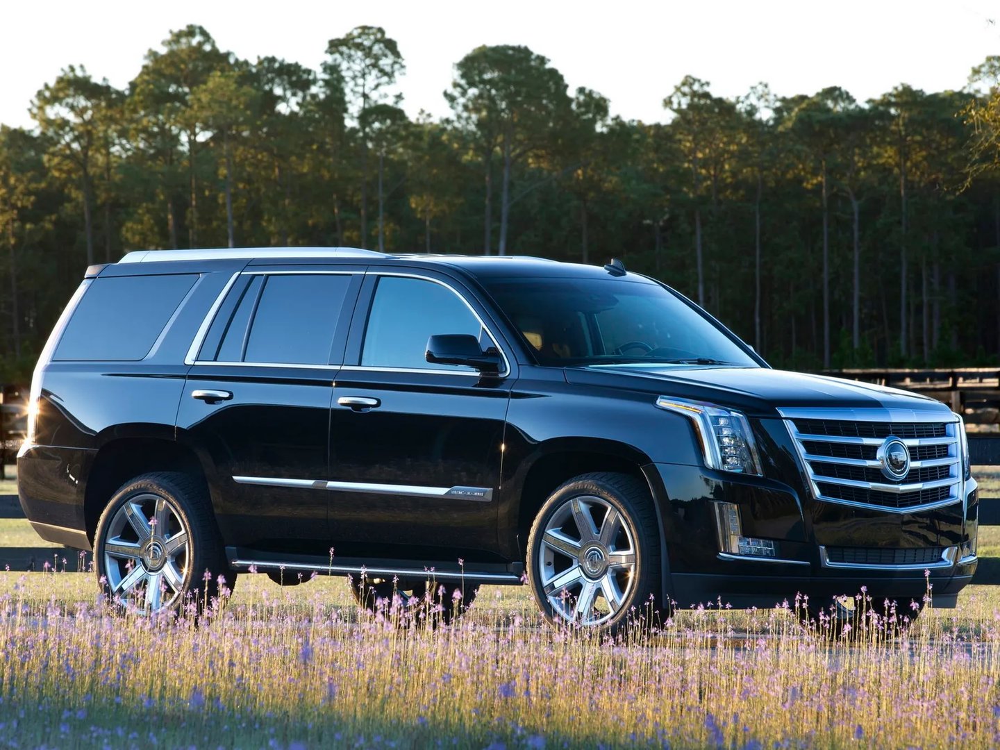 Cadillac_Escalade_4_generation__SUV_5-doors__13.jpg