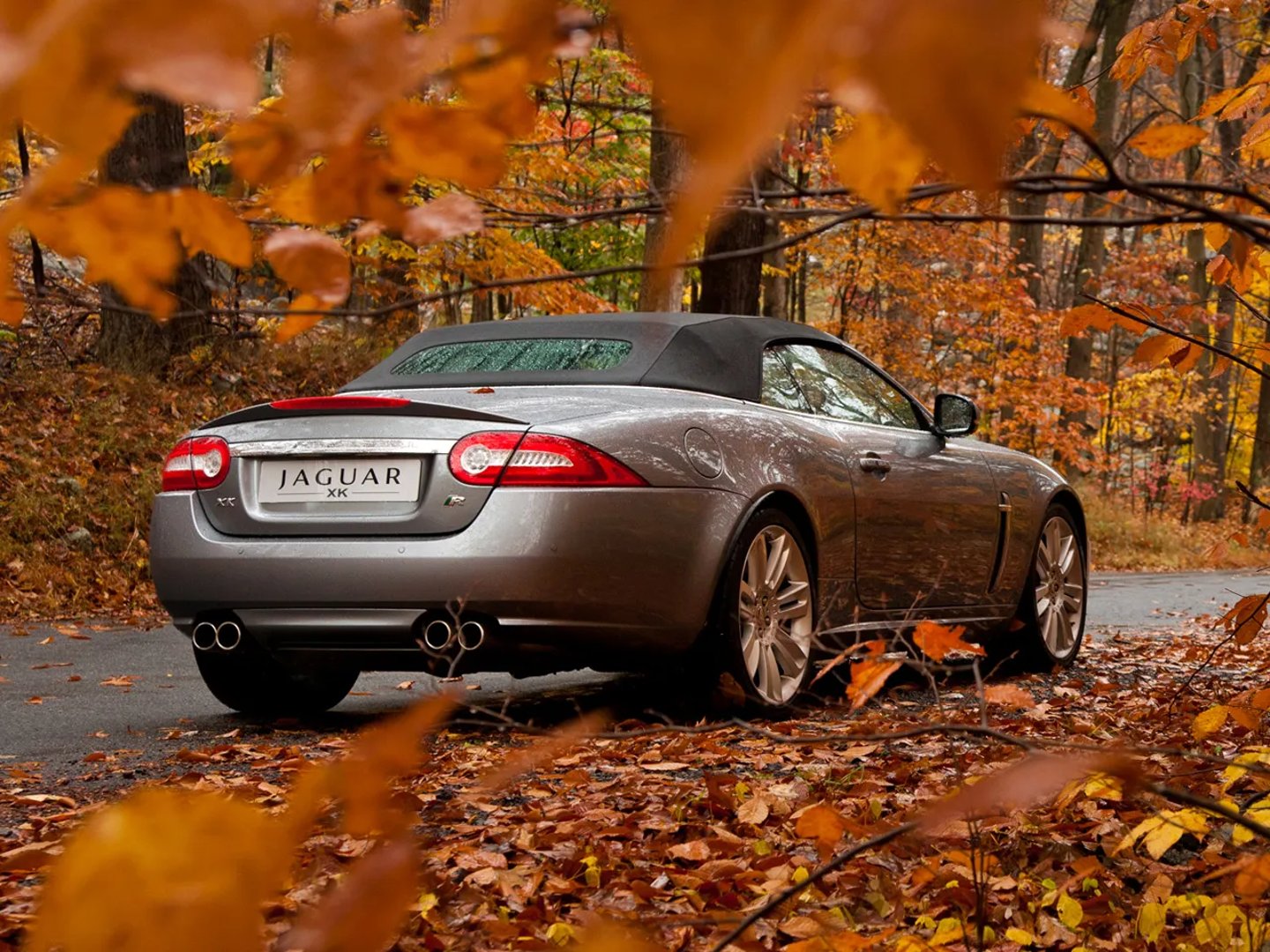 Jaguar_XKR_2_generation_restyling_1__Cabrio__8.jpg