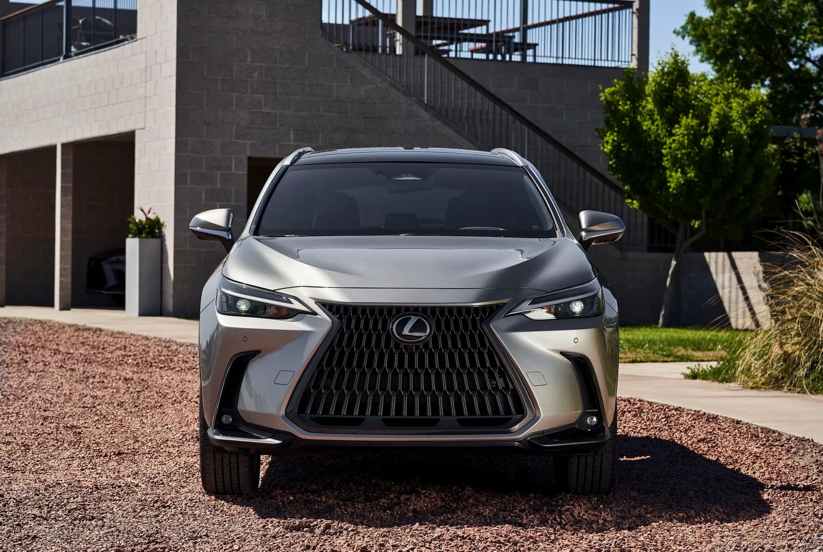 Lexus_NX_2_generation__SUV_5-doors__13.jpg