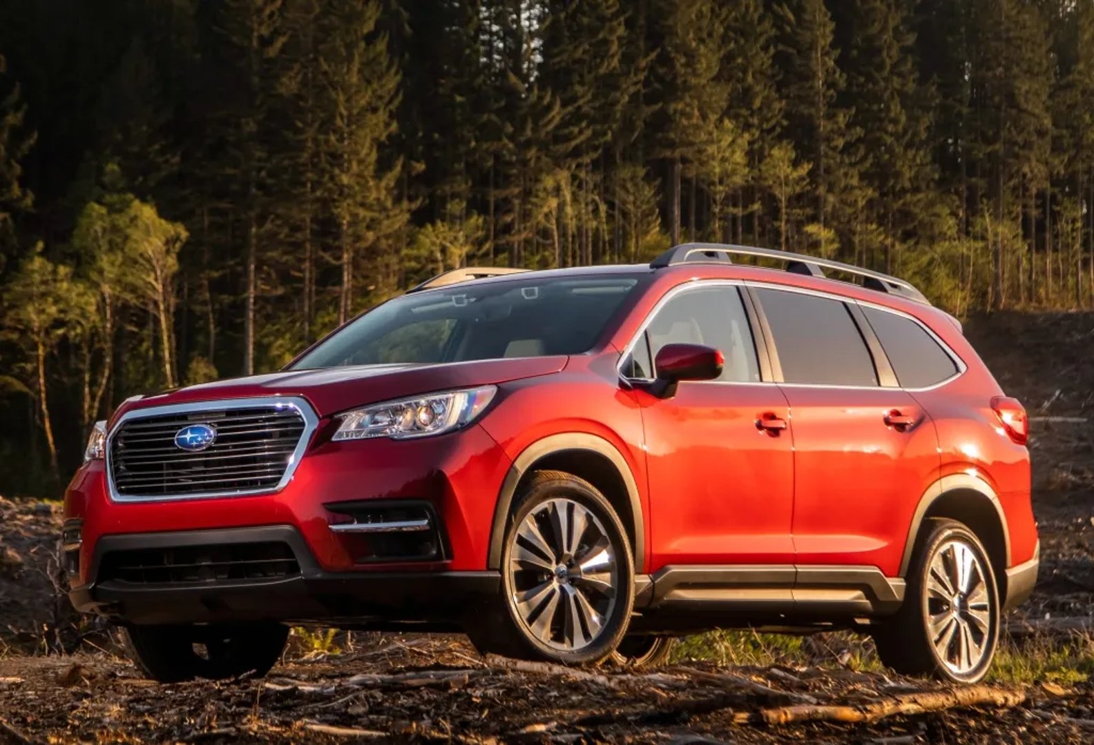 Subaru_Evoltis_1_generation__SUV_5-doors__11.jpg