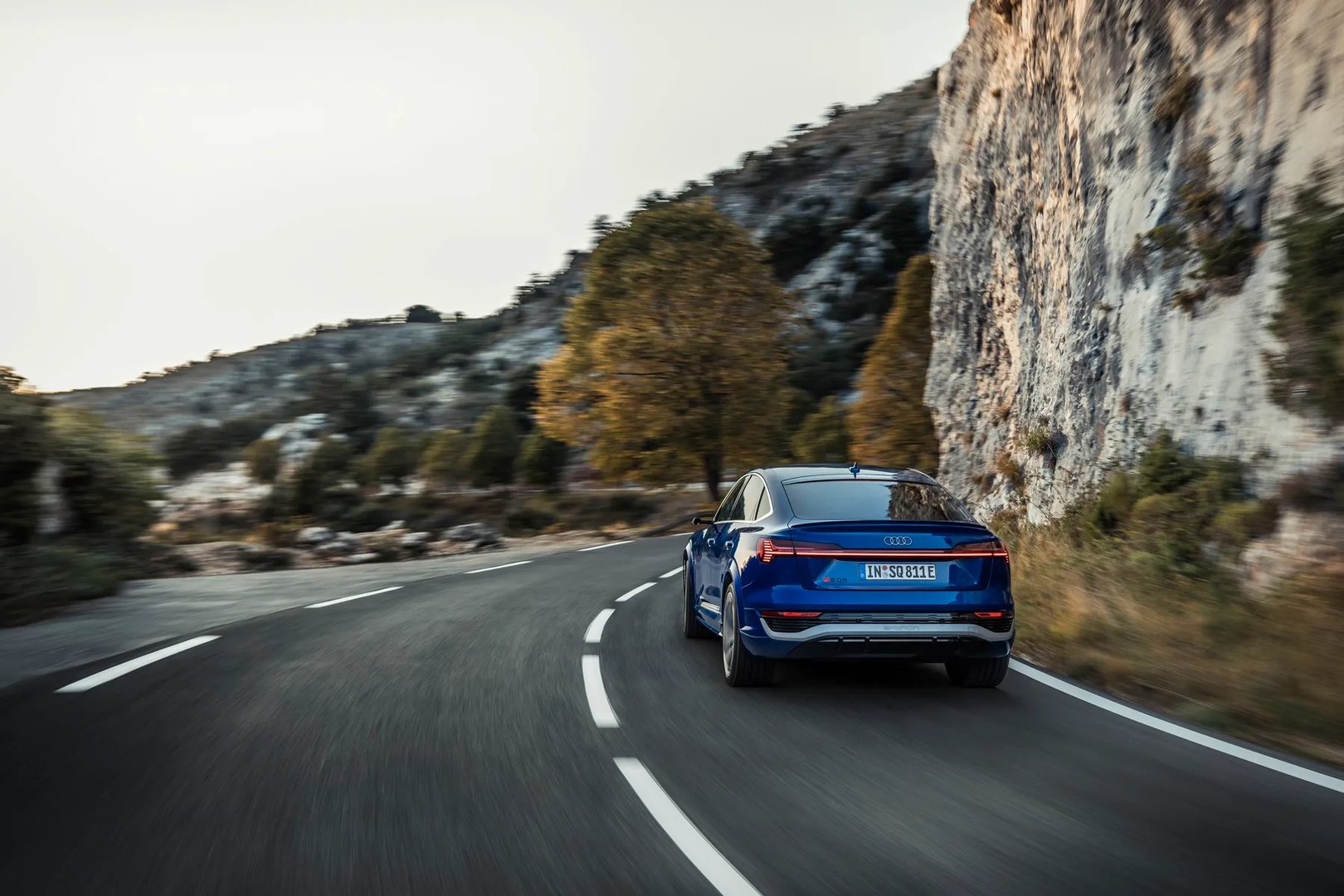 Audi_SQ8_Sportback_e-tron_1_generation_restyling__SUV_Coupe__7.jpg