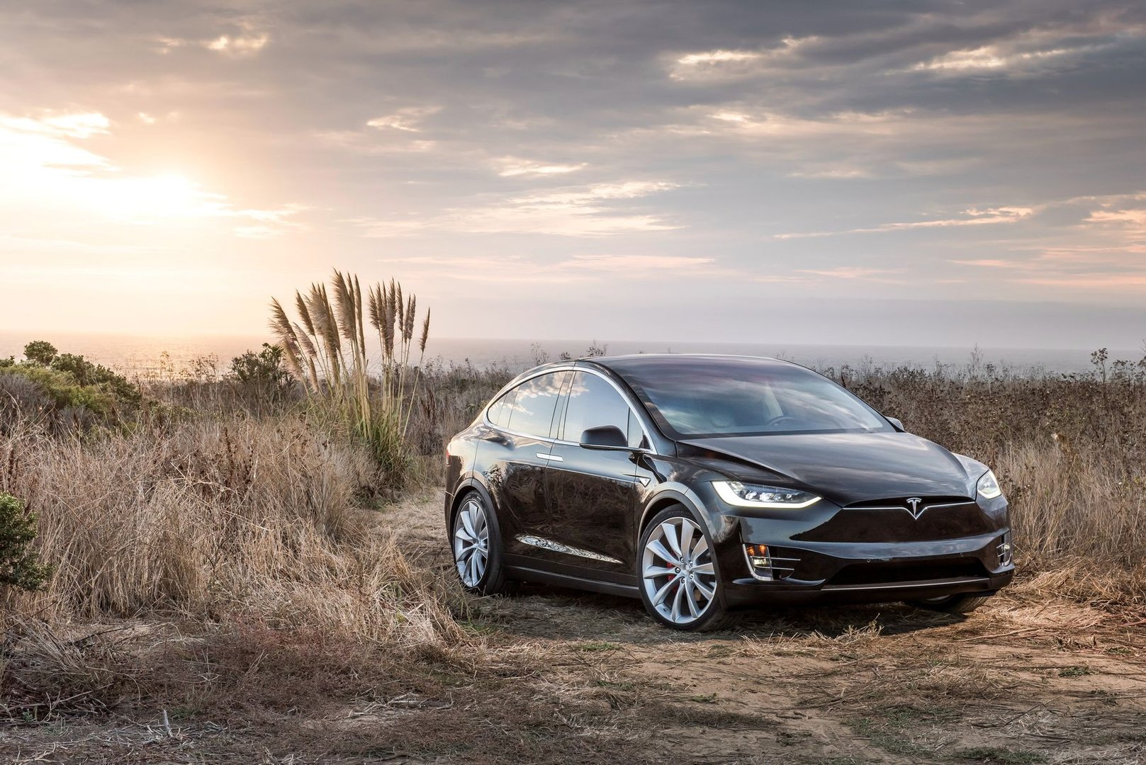 tesla_Model_X_1_generation__SUV_5-doors__14.jpg