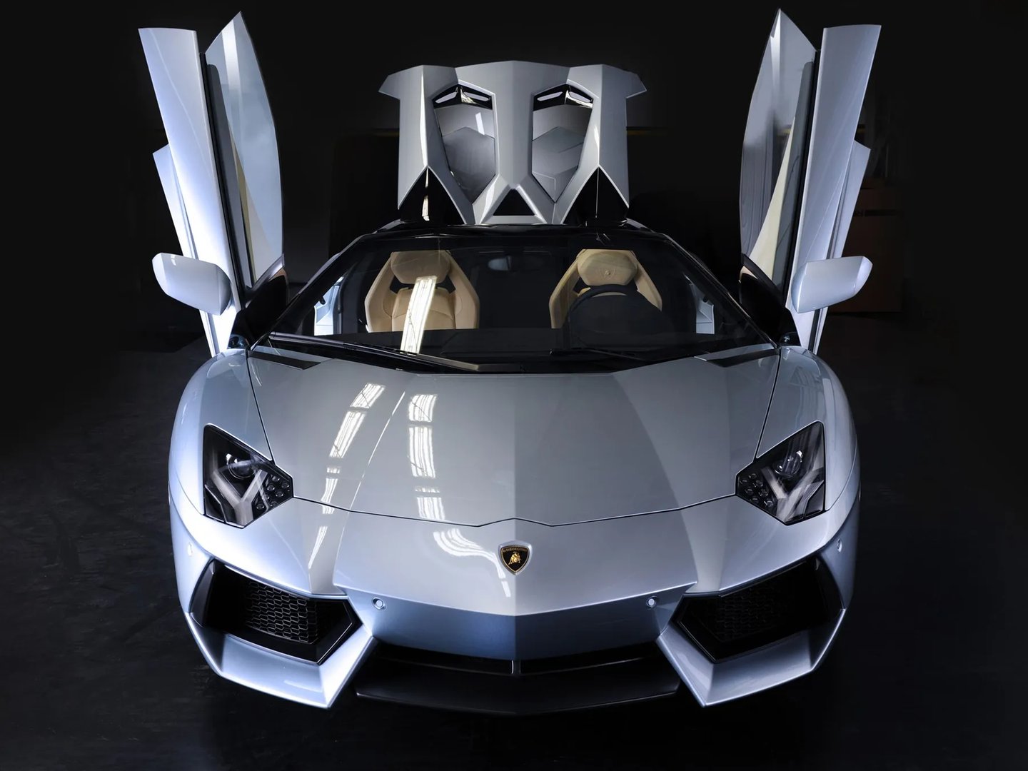Lamborghini_Aventador_1_generation__Roadster__13.jpg