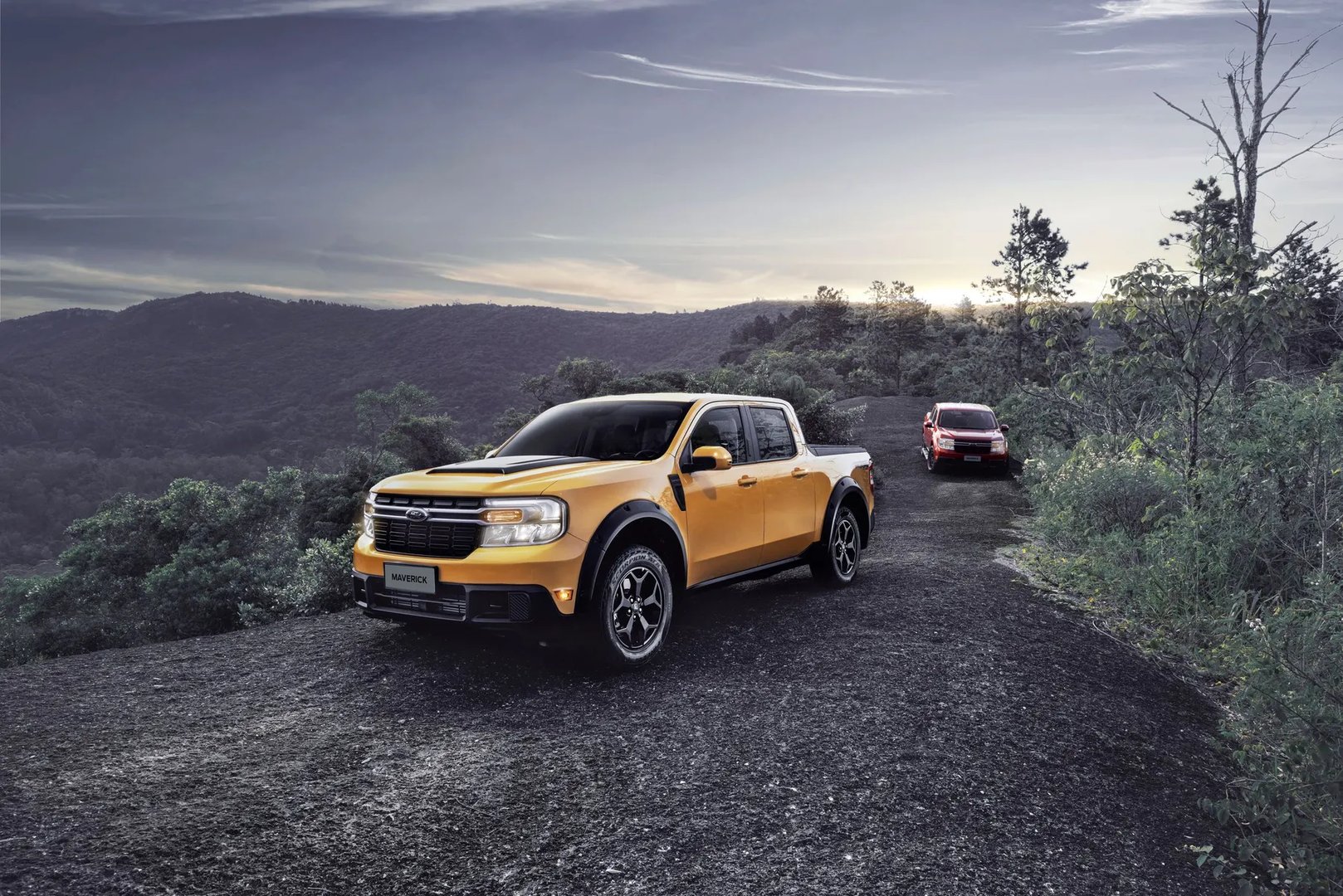 Ford_Maverick_Pickup_1_generation__Pickup_double-cab__6.jpg
