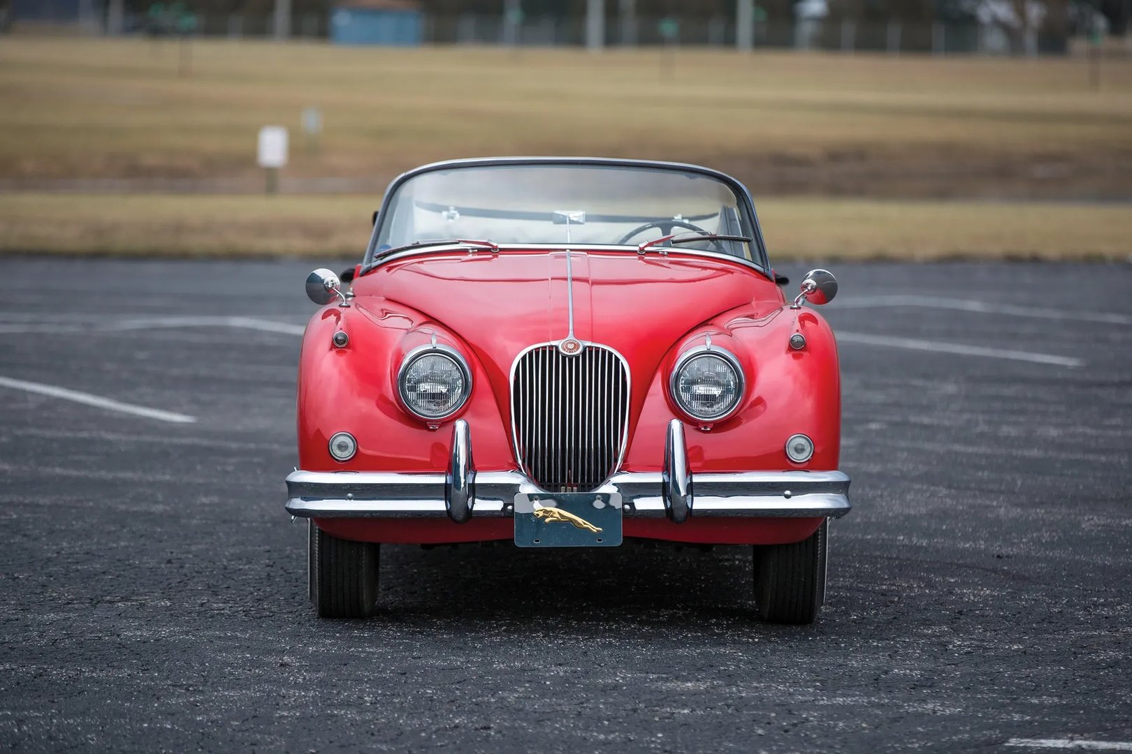 Jaguar_XK_Raritet_3_generation__Cabrio__8.jpg