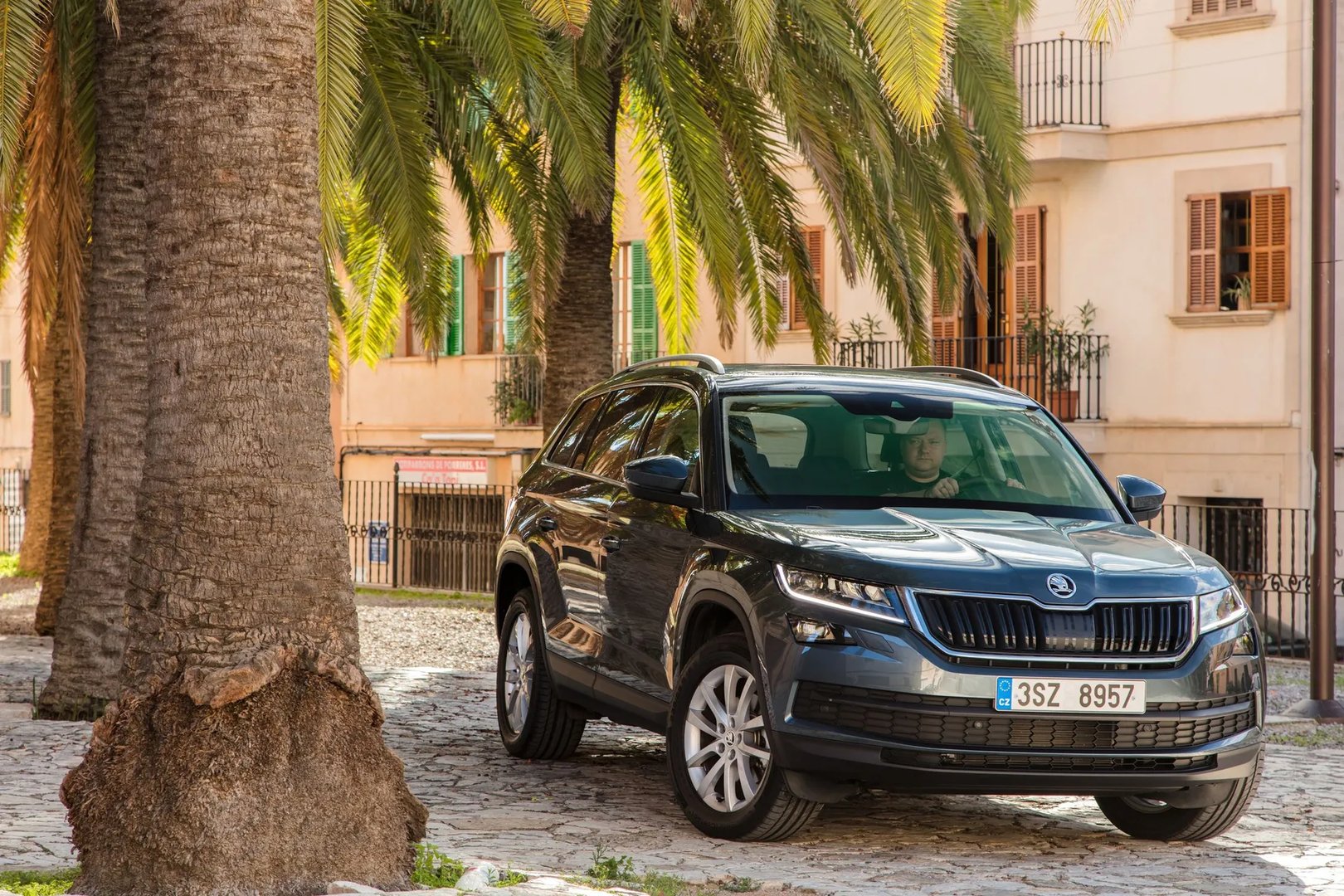 Skoda_Kodiaq_1_generation__SUV_5-doors__5.jpg