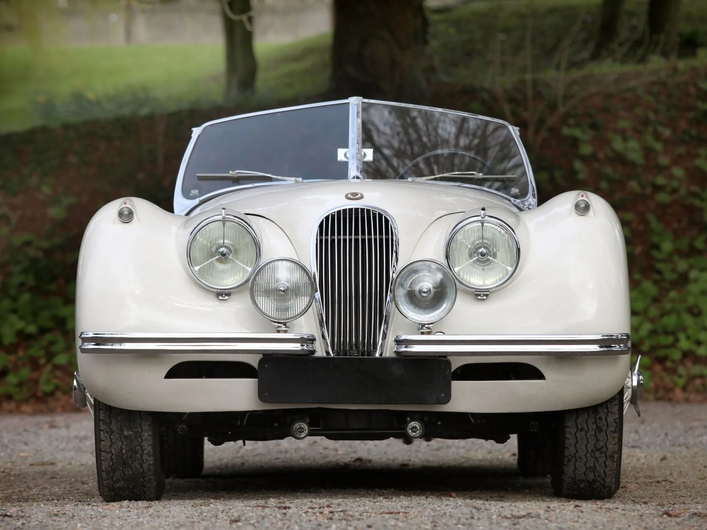 Jaguar_XK_Raritet_1_generation__Roadster__2.jpg