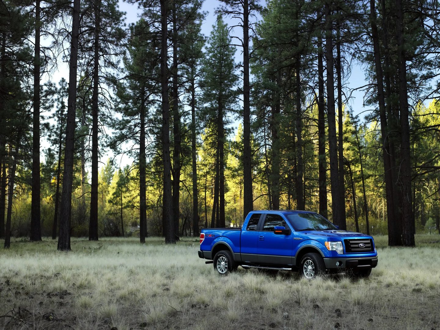 Ford_F-150_12_generation__Pickup_1.5-cab__7.jpg