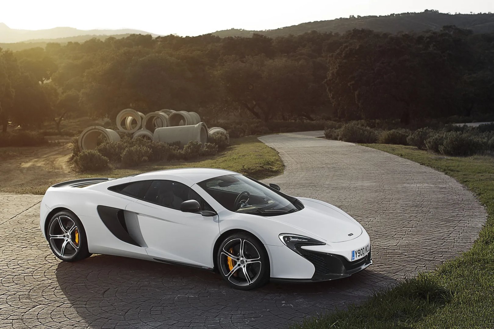 McLaren_650S_1_generation__Coupe__13.jpg