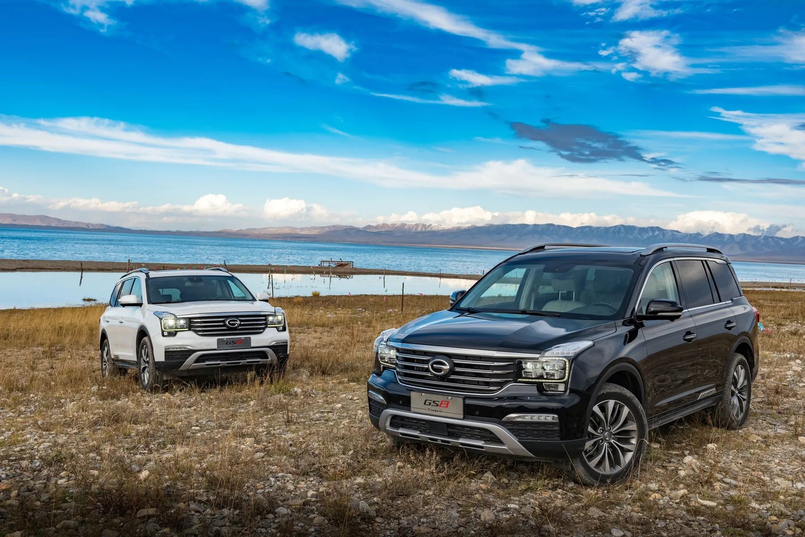 gac_Motor_GS8_1_generation__SUV_5-doors__10.jpg