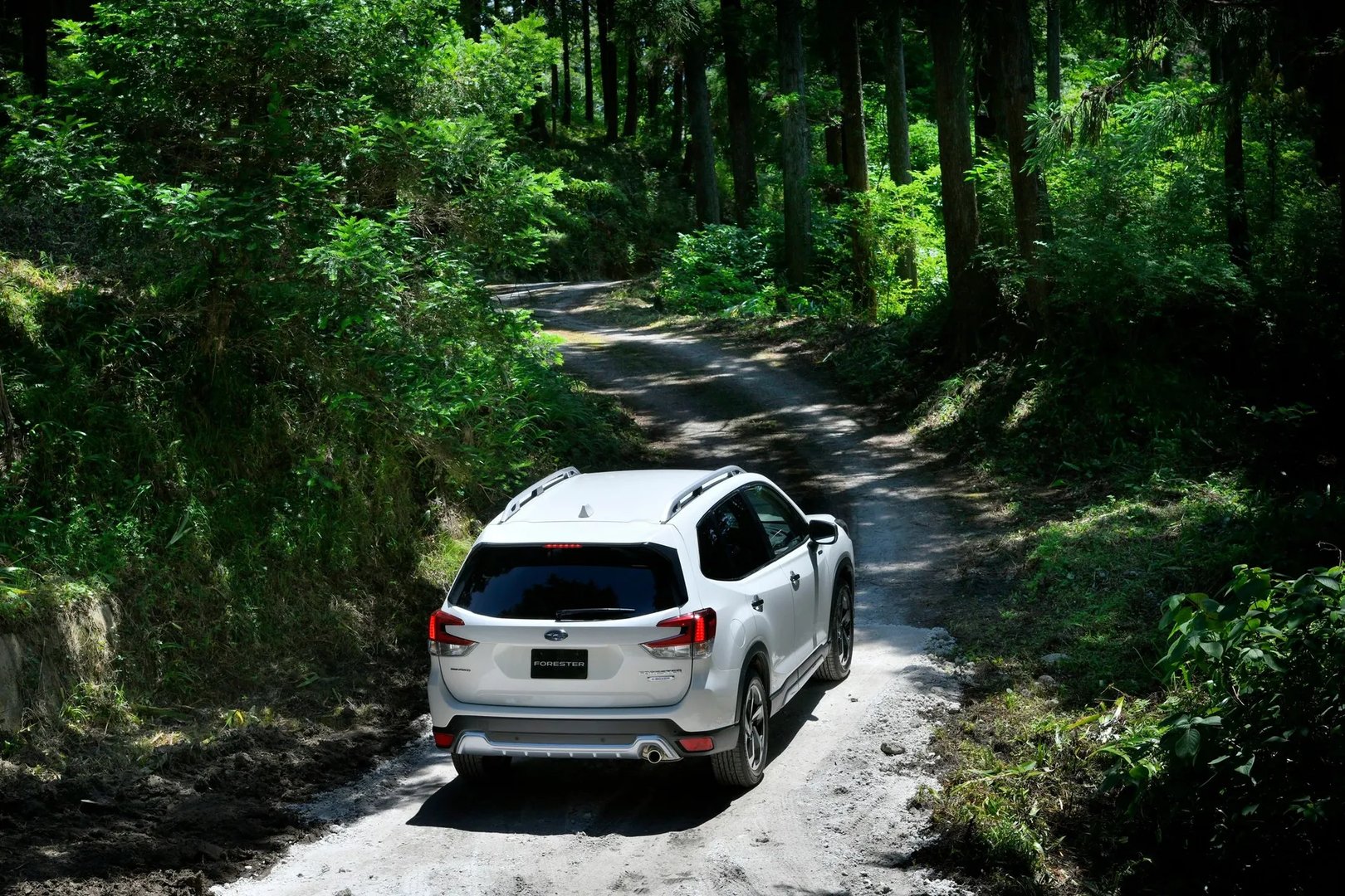 Subaru_Forester_5_generation_restyling__SUV_5-doors__13.jpg