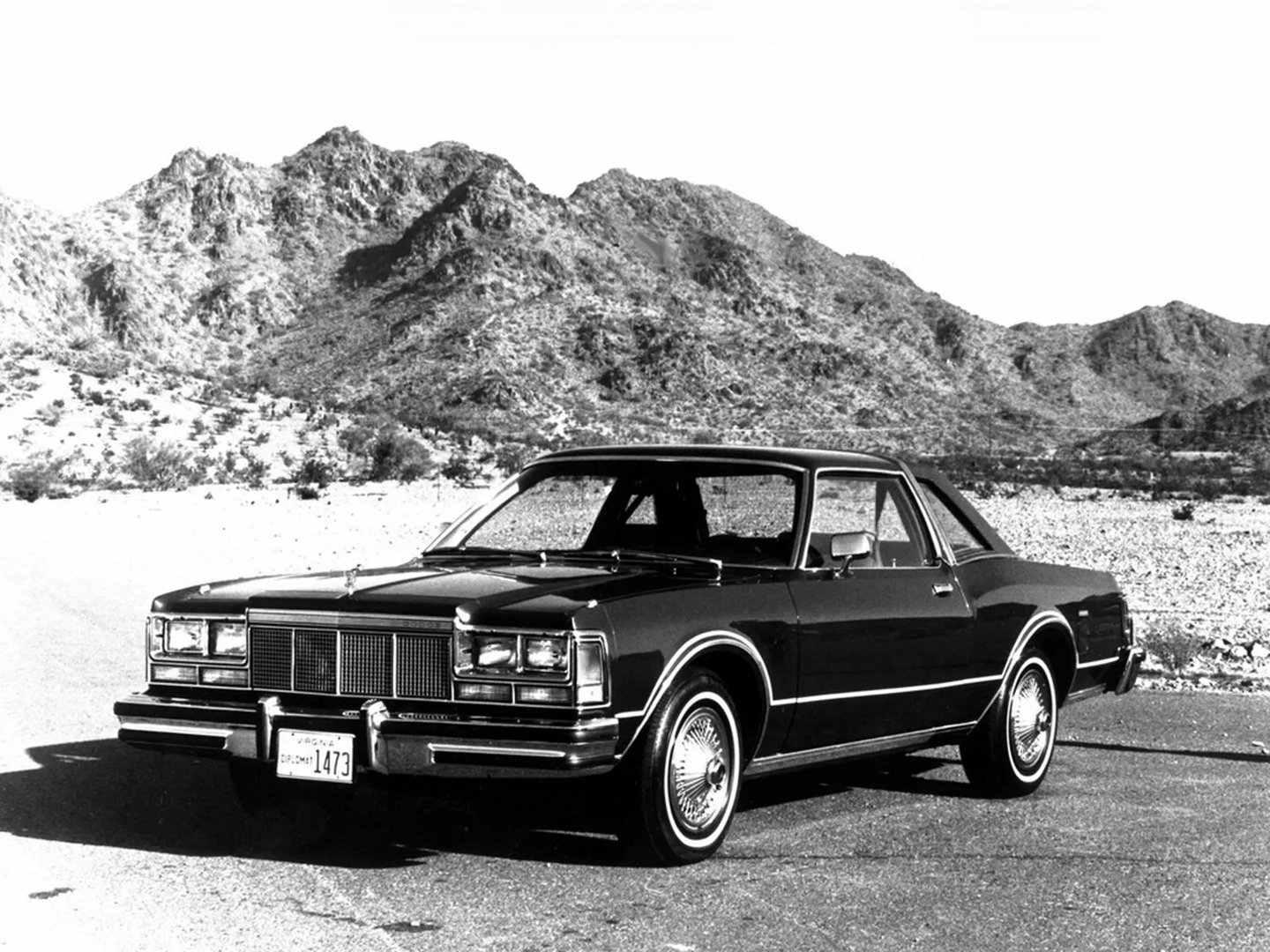 Dodge_Diplomat_1_generation__Coupe__2.jpg