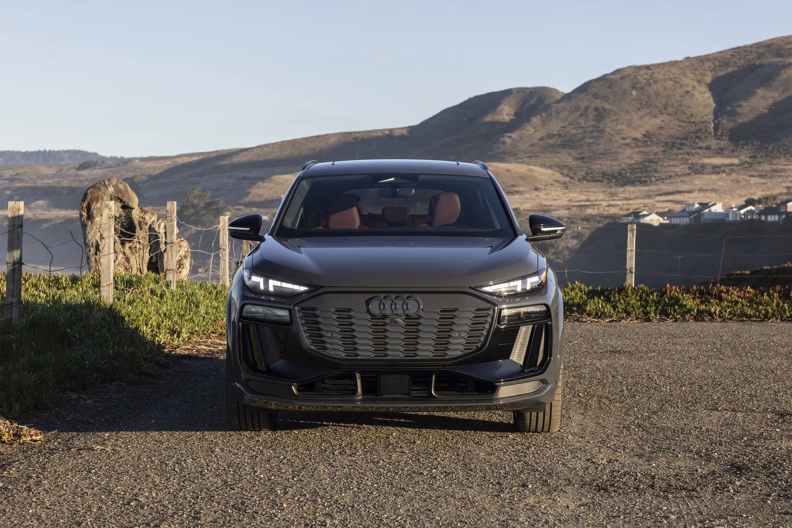 audi_SQ6_1_generation__SUV_5-doors__8.jpg