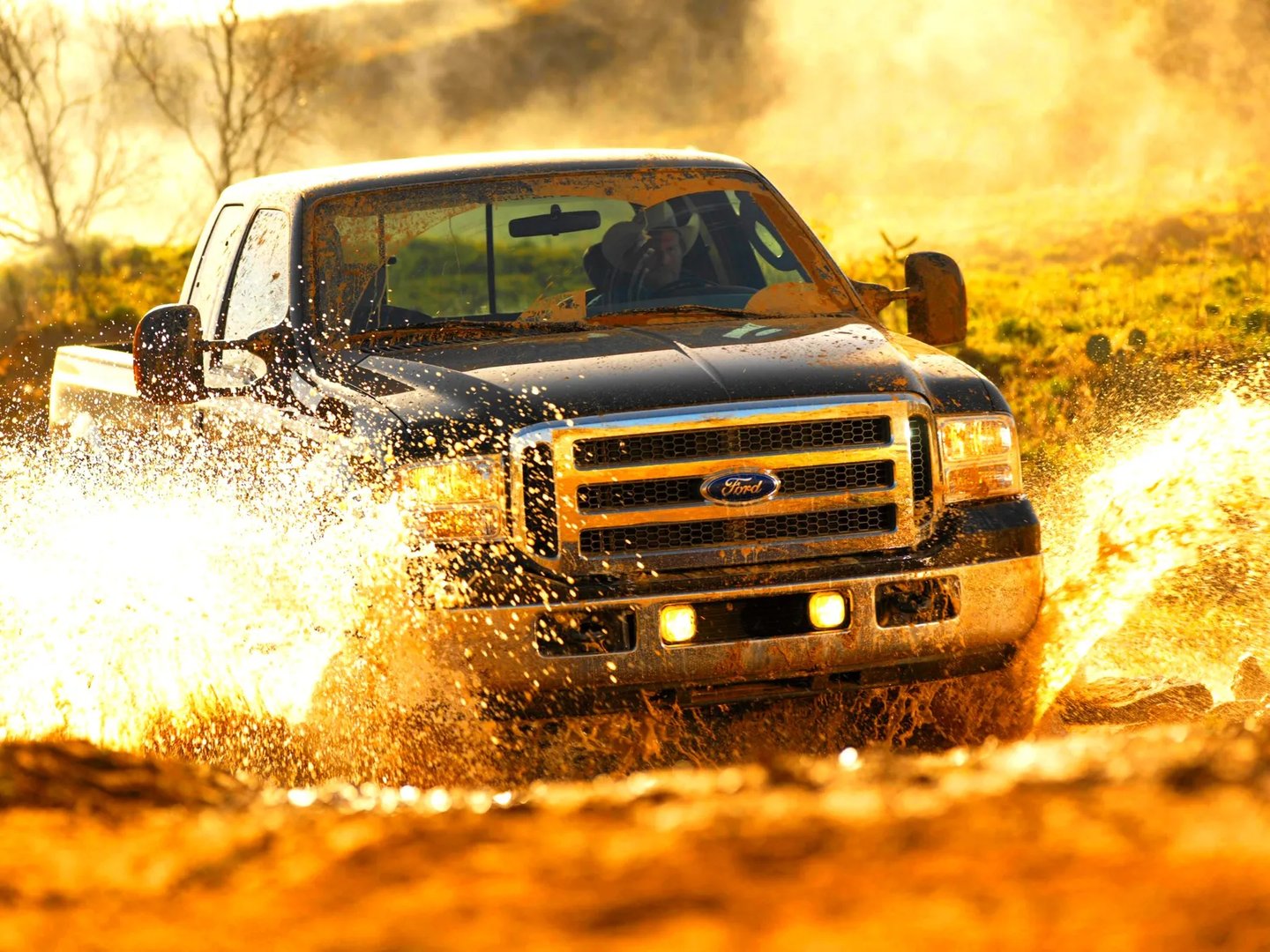 Ford_F-350_1_generation_restyling__Pickup_1.5-cab__2.jpg