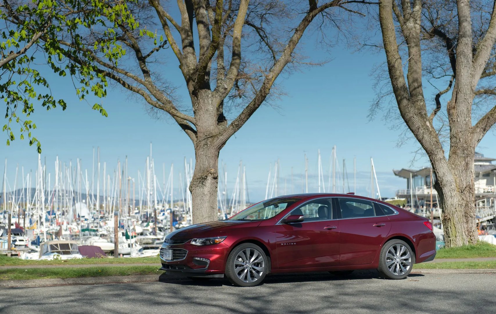 Chevrolet_Malibu_9_generation__Sedan__12.jpg