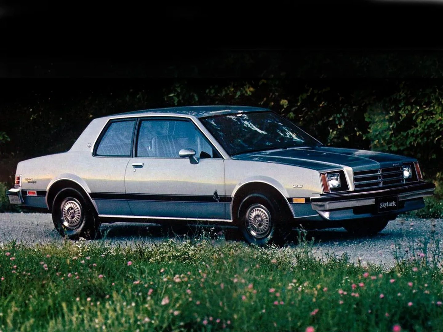 Buick_Skylark_5_generation__Coupe__2.jpg