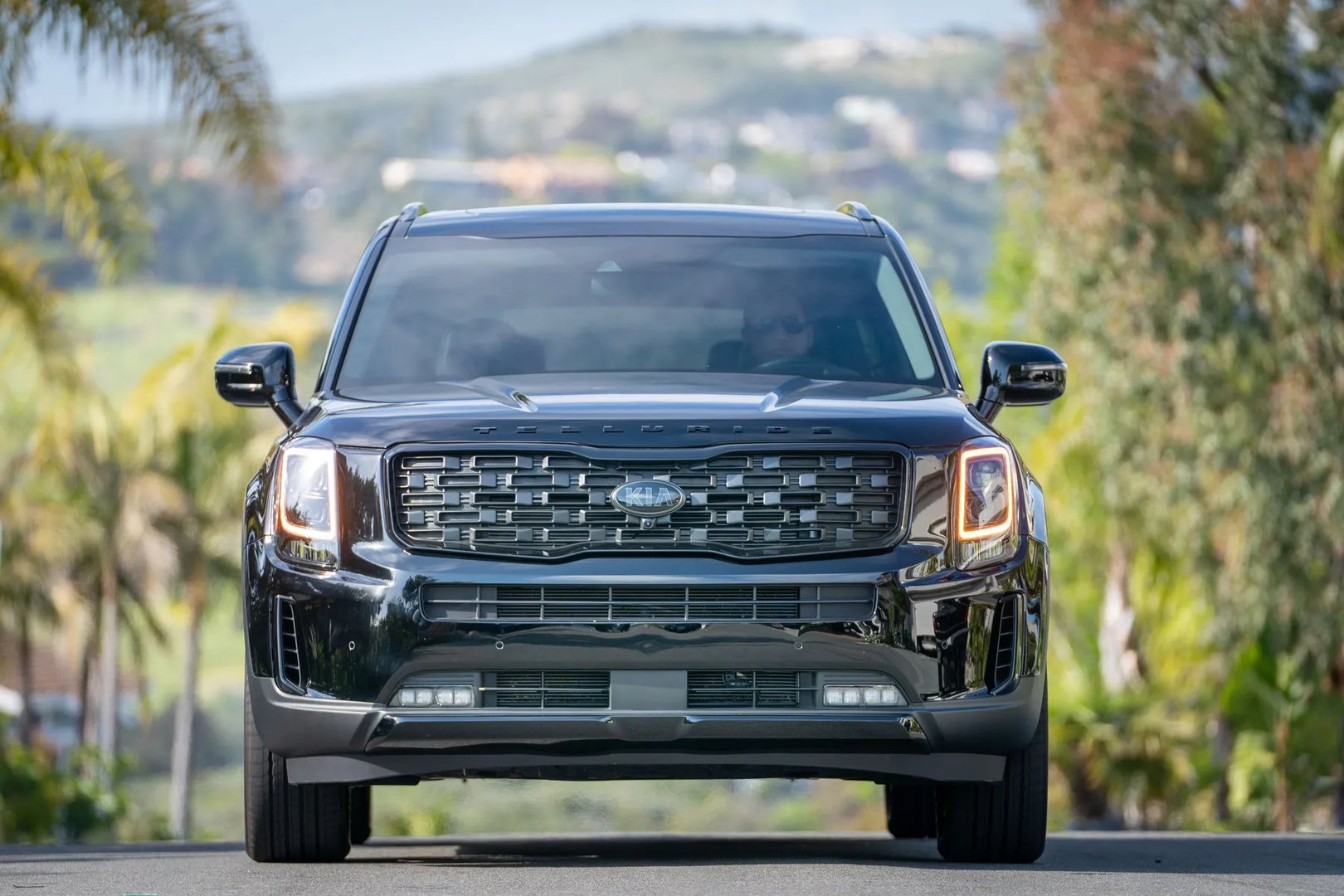 Kia_Telluride_1_generation_restyling_1__SUV_5-doors__7.jpg