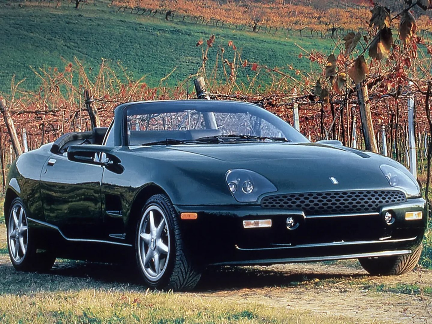 De Tomaso_Bigua_1_generation__Cabrio__2.jpg