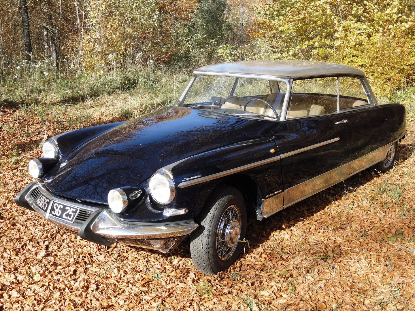 Citroen_DS_1_generation_restyling_1__Coupe__2.jpg