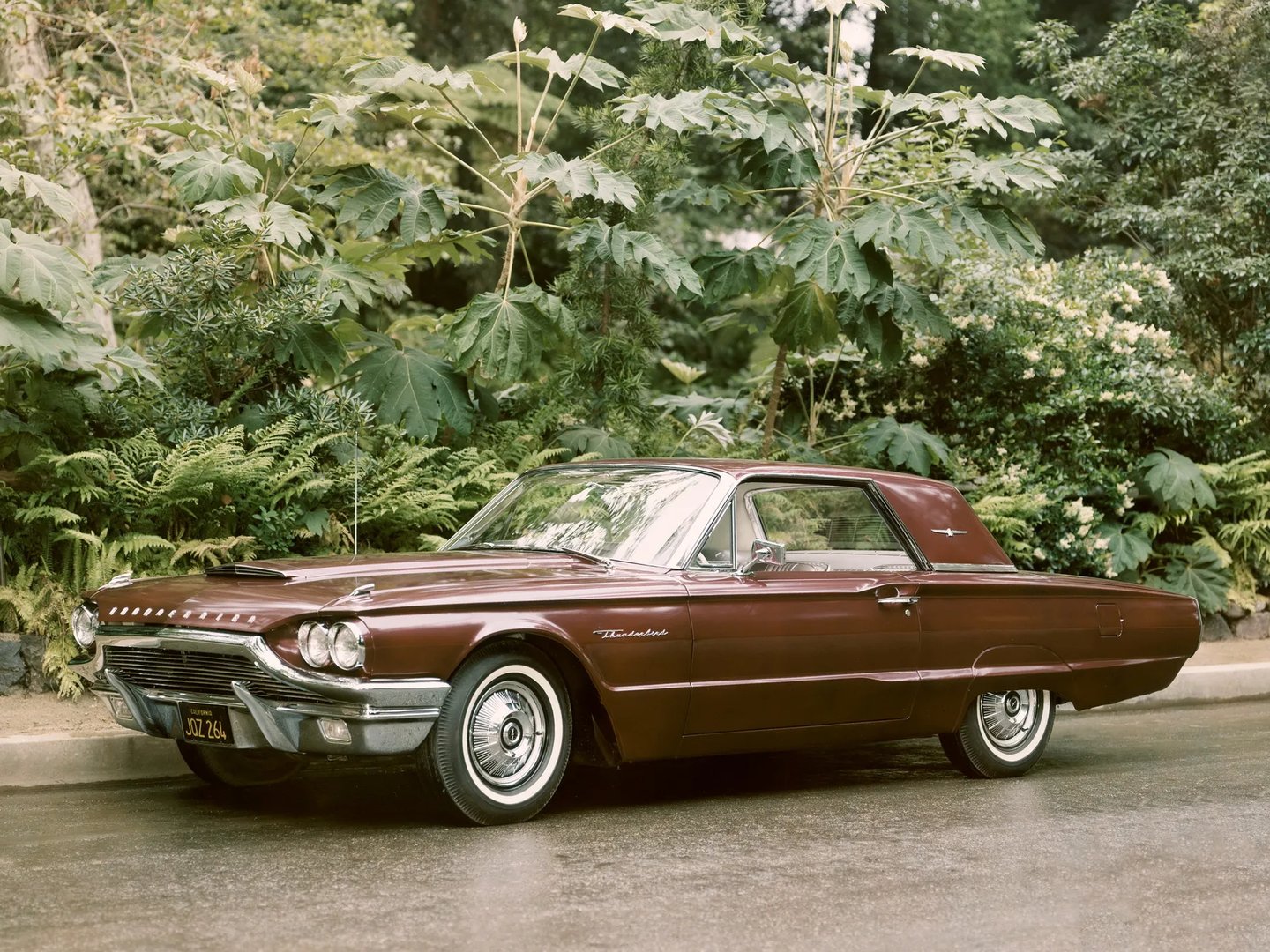 Ford_Thunderbird_4_generation__Coupe_Hardtop__6.jpg