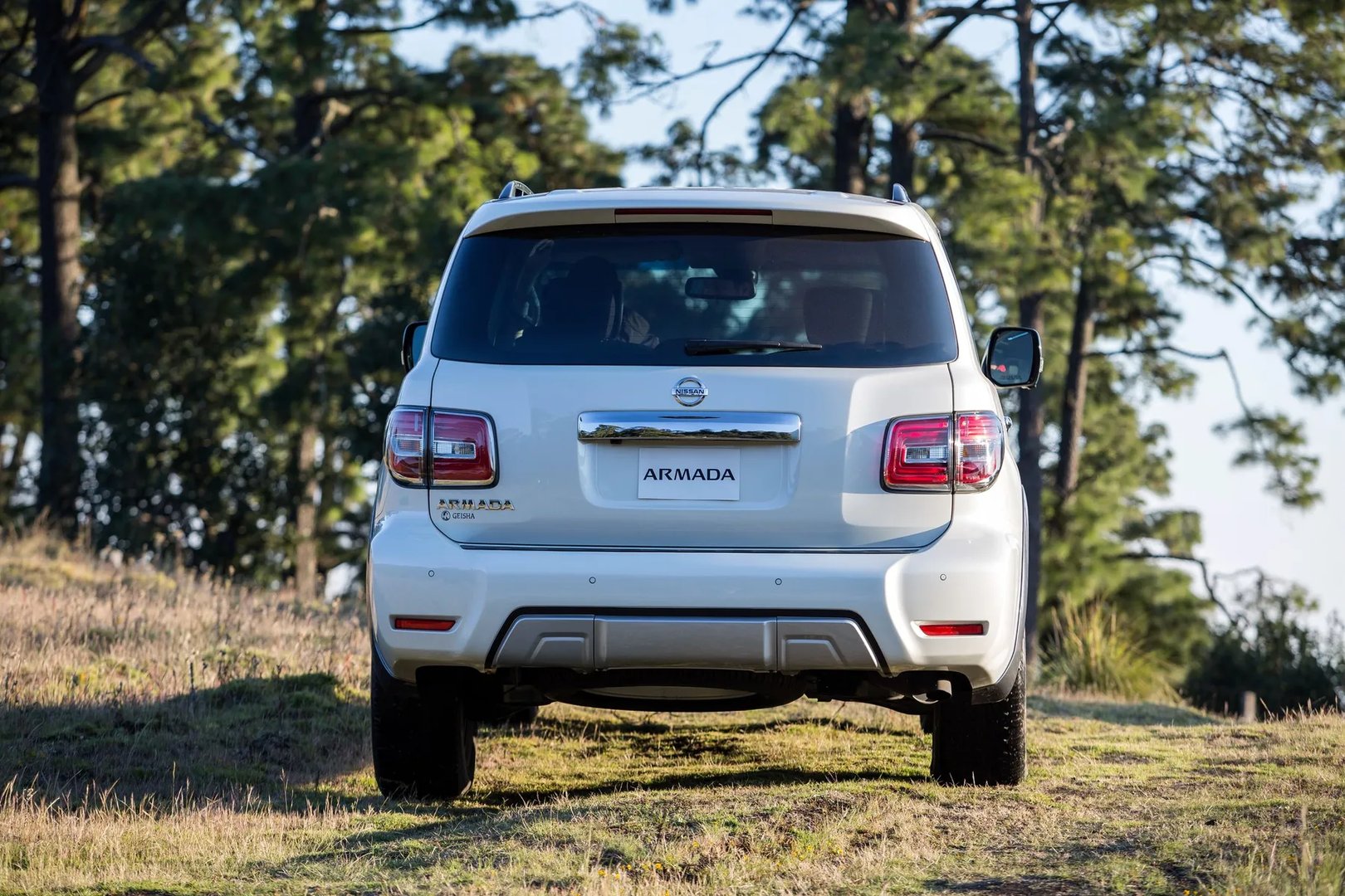 Nissan_Armada_2_generation__SUV_5-doors__7.jpg