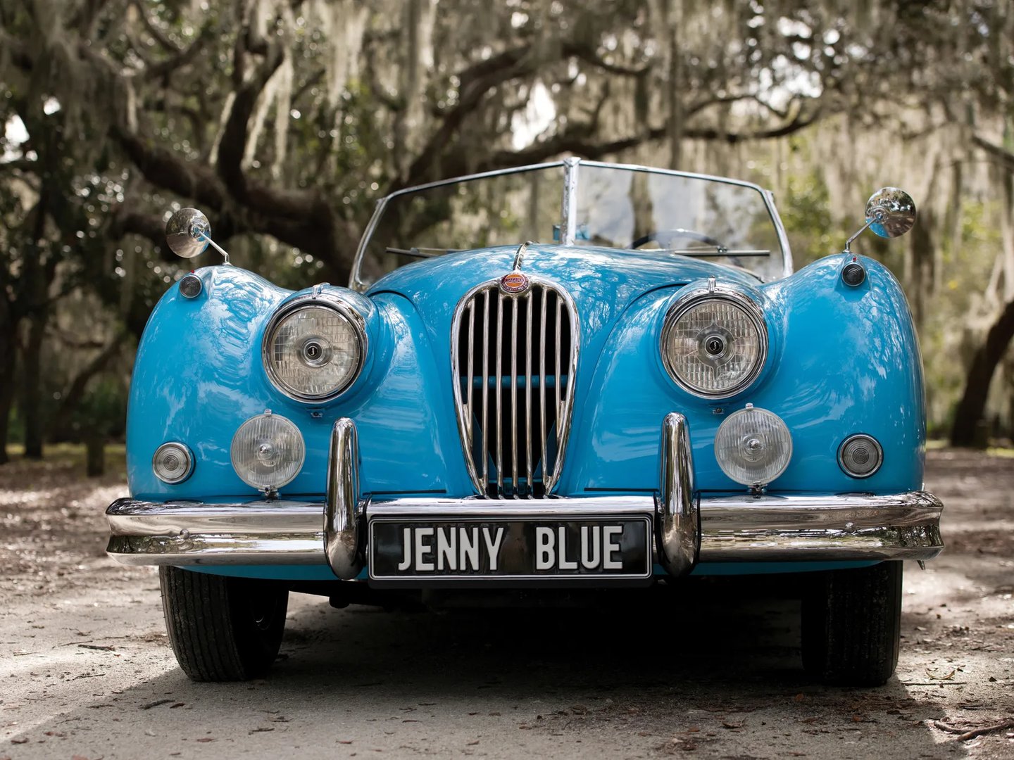 Jaguar_XK_Raritet_2_generation__Roadster__3.jpg
