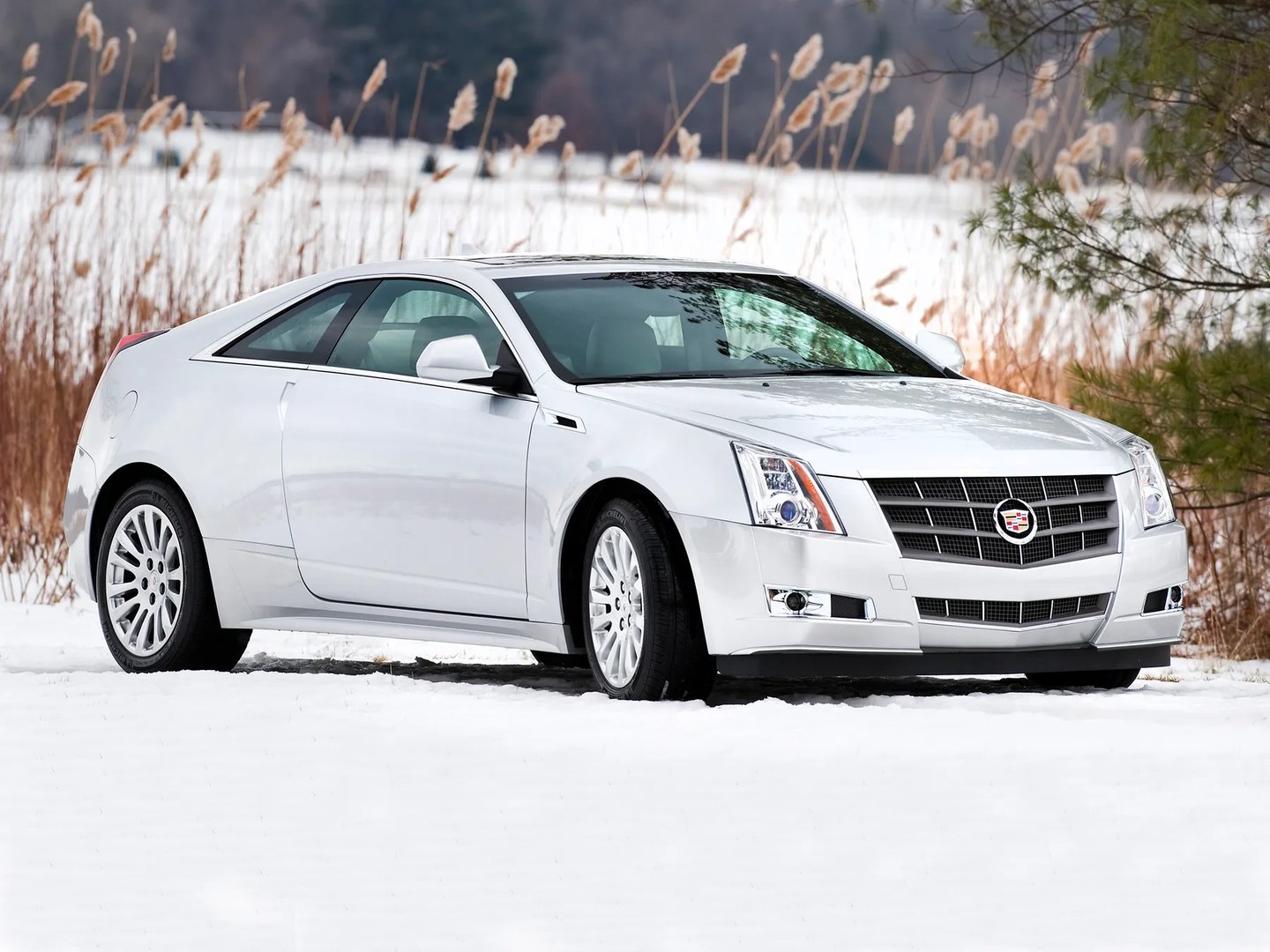 Cadillac_CTS_2_generation__Coupe__7.jpg
